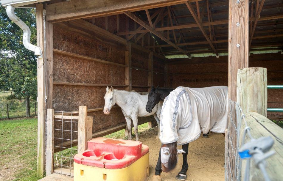 446 Good Neighbors Road NE Check VA 24072