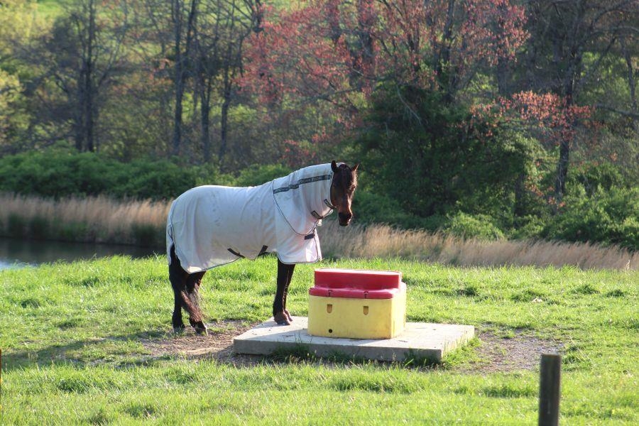 446 Good Neighbors Road NE Check VA 24072