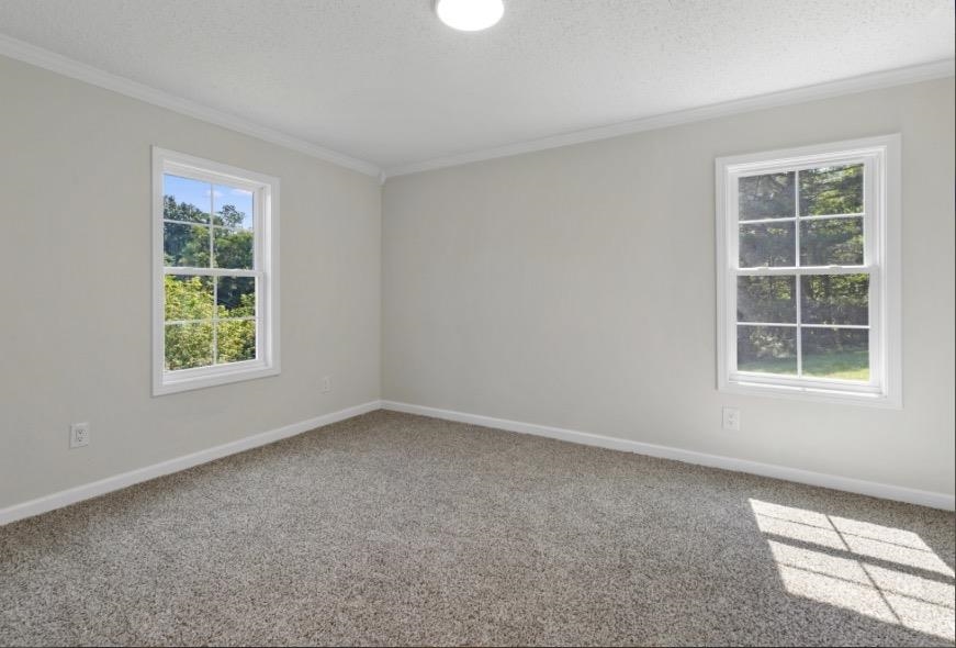 2825 Forage Road Shawsville VA 24162