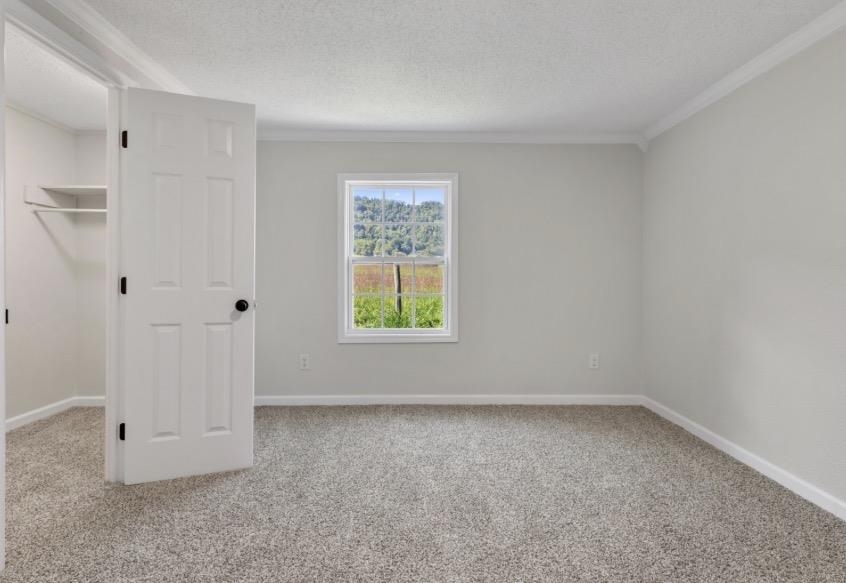 2825 Forage Road Shawsville VA 24162