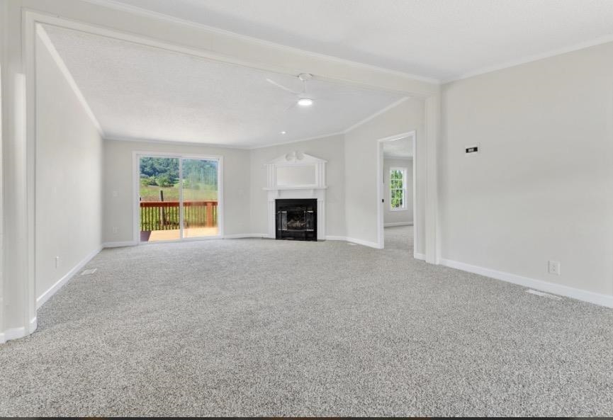 2825 Forage Road Shawsville VA 24162