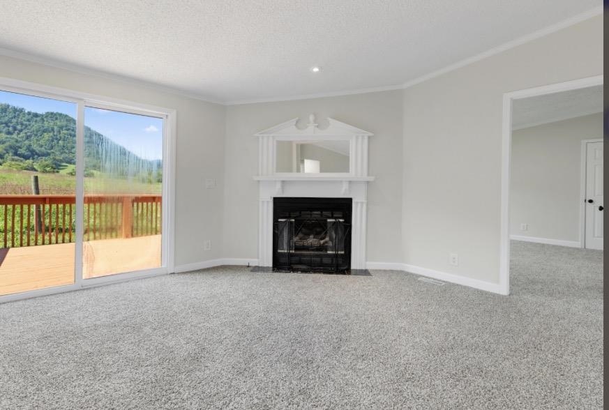 2825 Forage Road Shawsville VA 24162