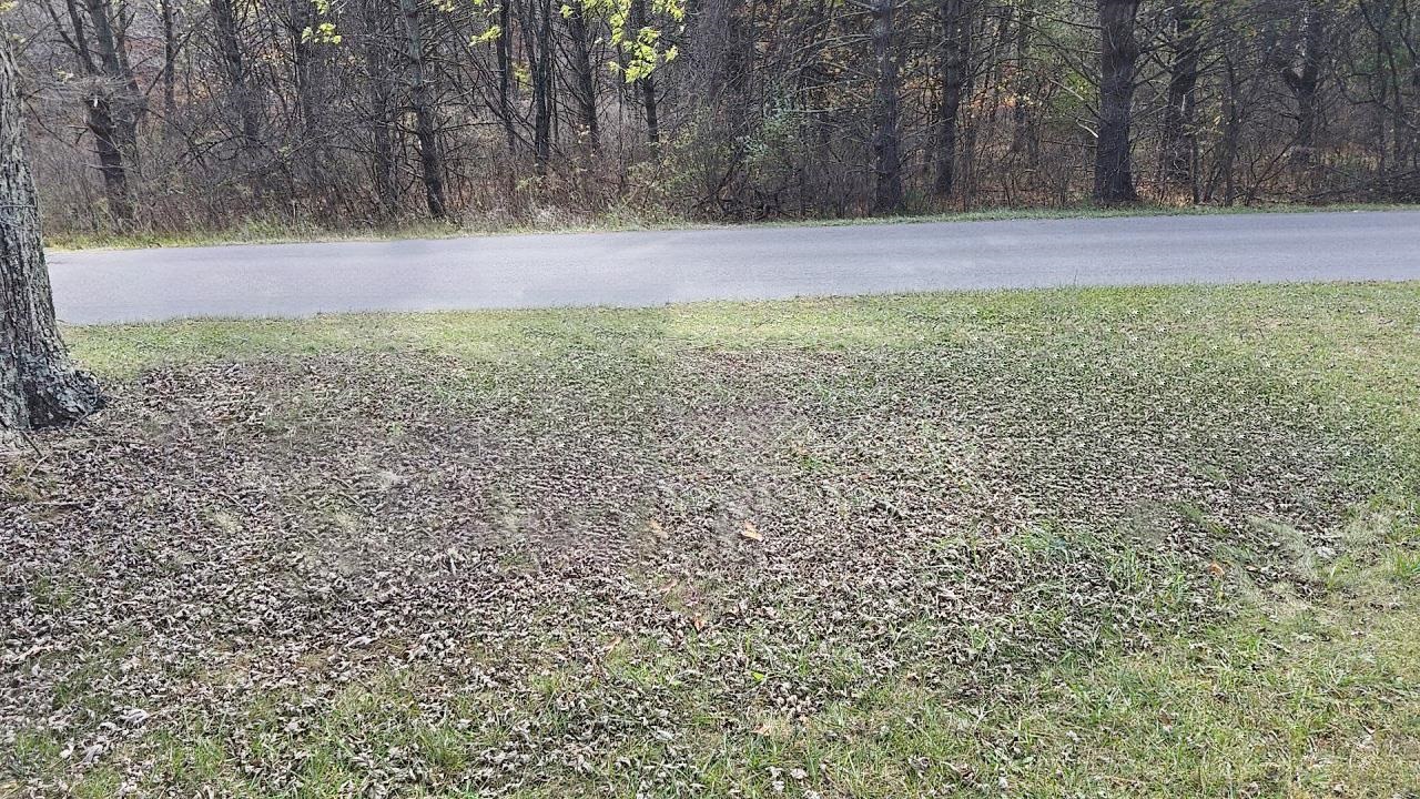 2647 Teas Road Sugar Grove VA 24375