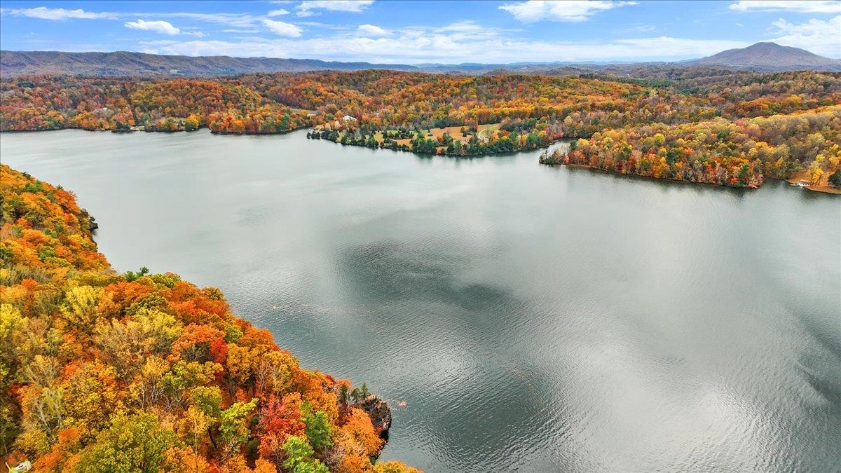 4481 Raccoon Place Dublin VA 24084