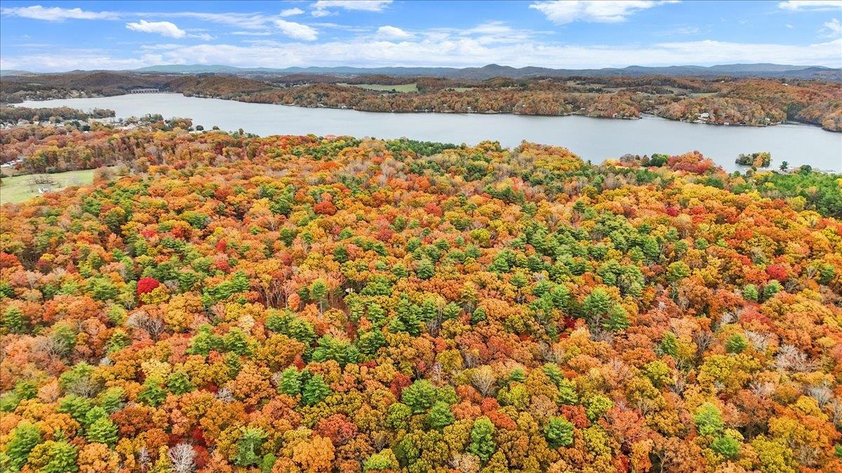 4481 Raccoon Place Dublin VA 24084