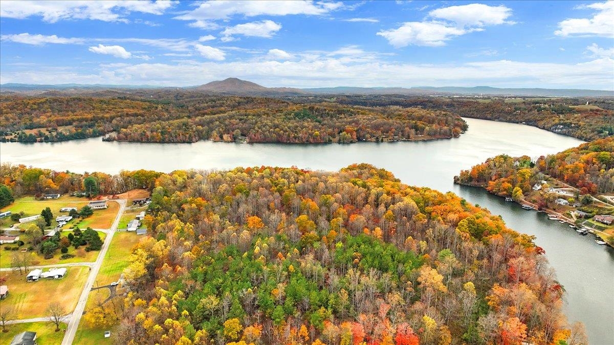 4481 Raccoon Place Dublin VA 24084