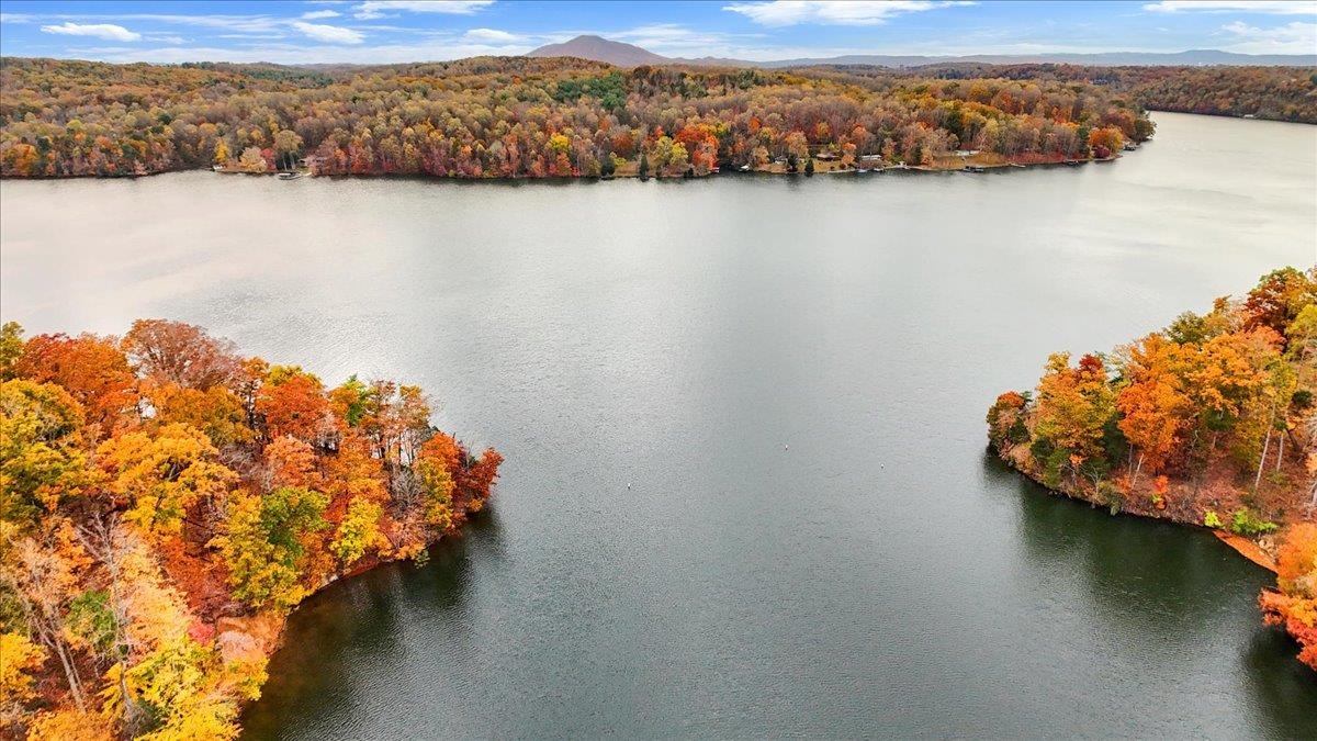 4481 Raccoon Place Dublin VA 24084