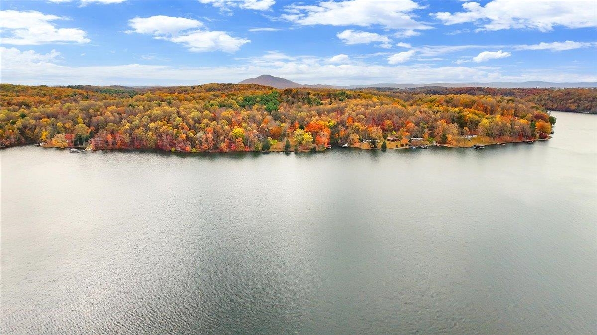 4481 Raccoon Place Dublin VA 24084