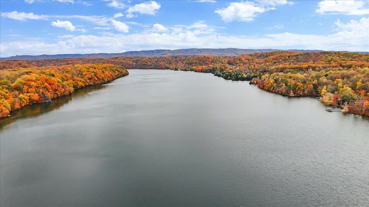 4481 Raccoon Place Dublin VA 24084