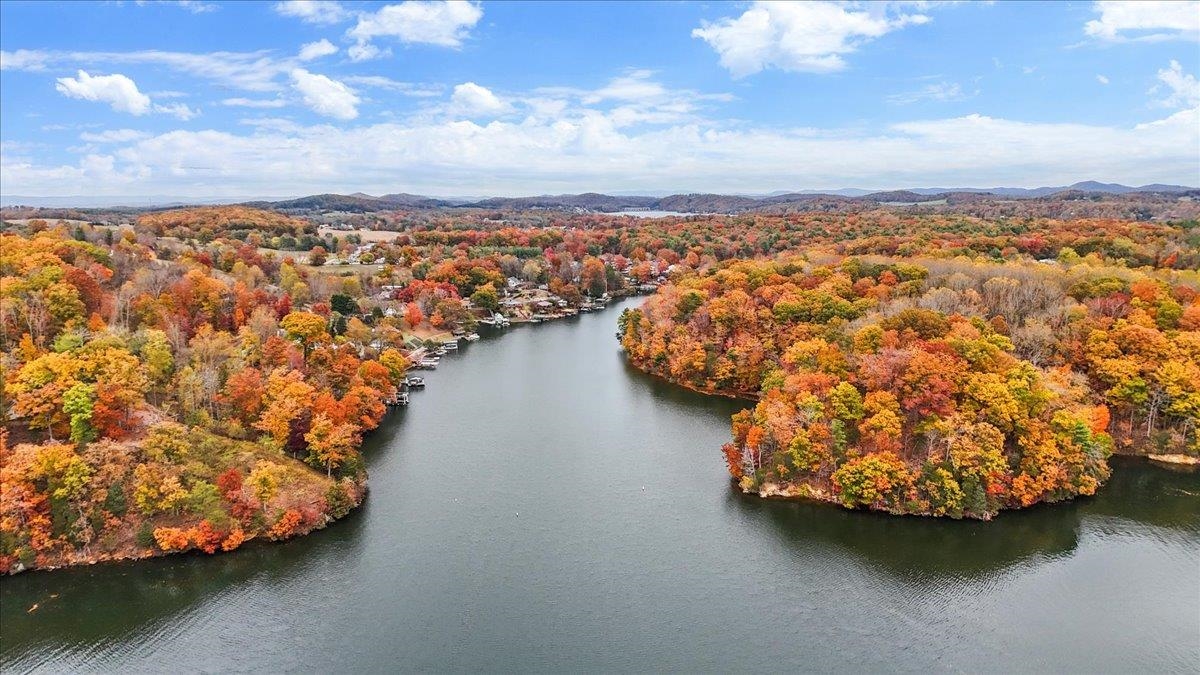 4481 Raccoon Place Dublin VA 24084