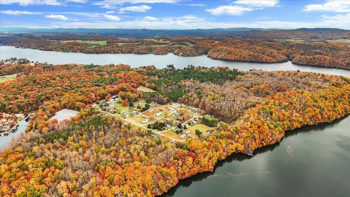 4481 Raccoon Place Dublin VA 24084