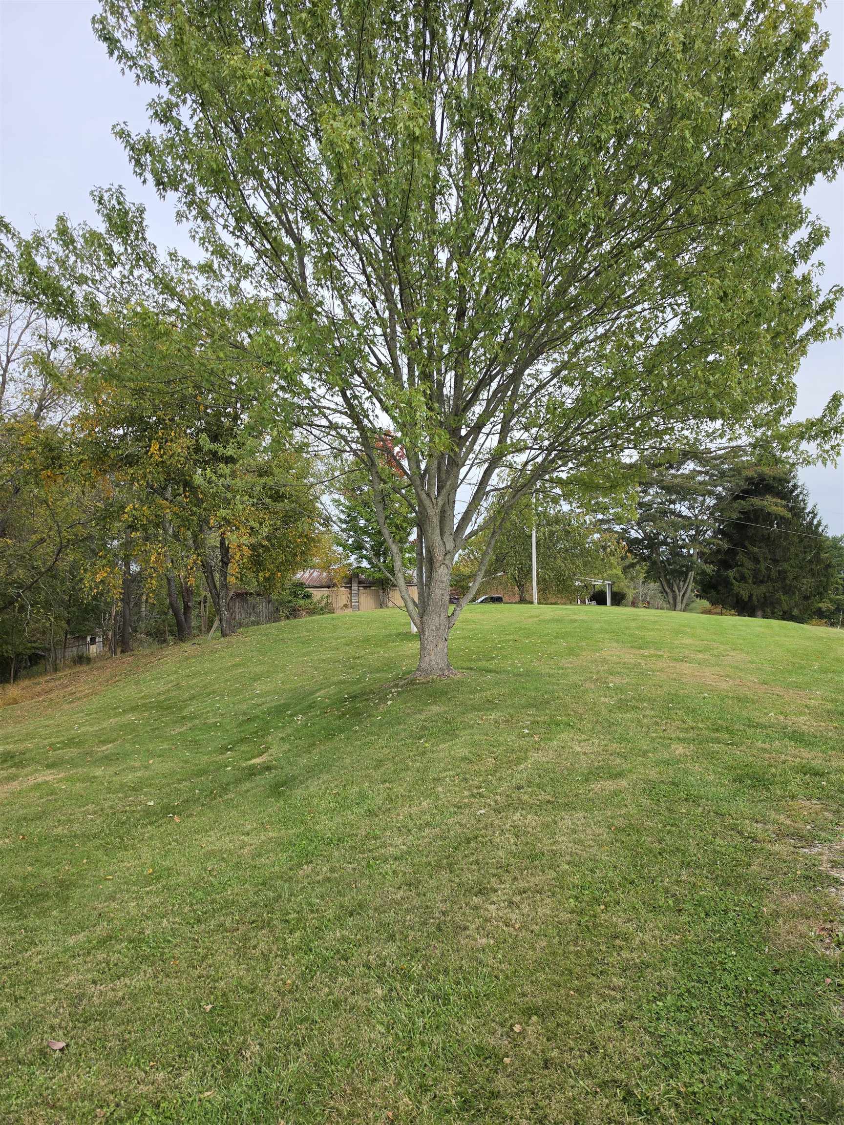 845 NW Horse Ridge Road NW Willis VA 24380