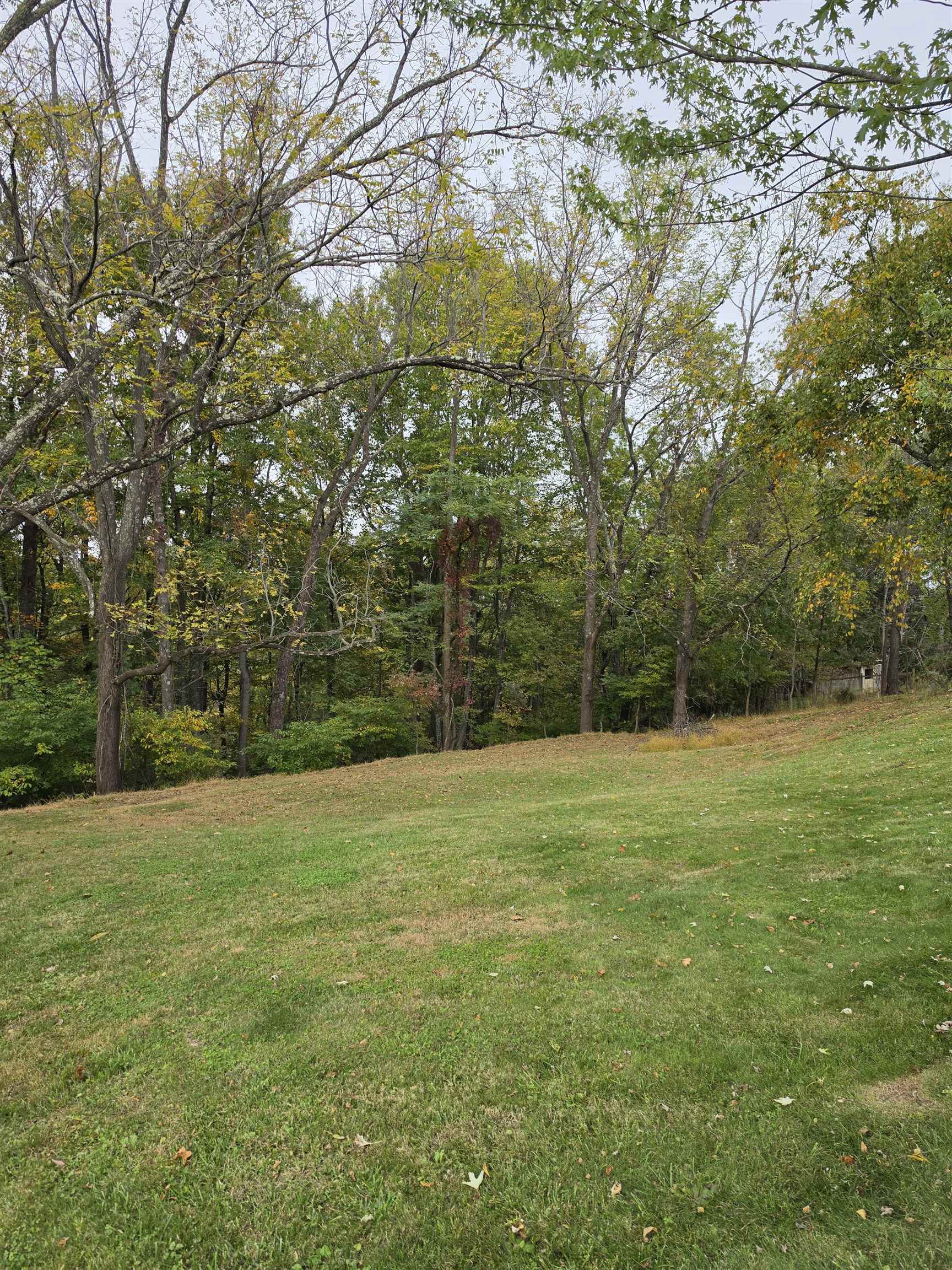 845 NW Horse Ridge Road NW Willis VA 24380