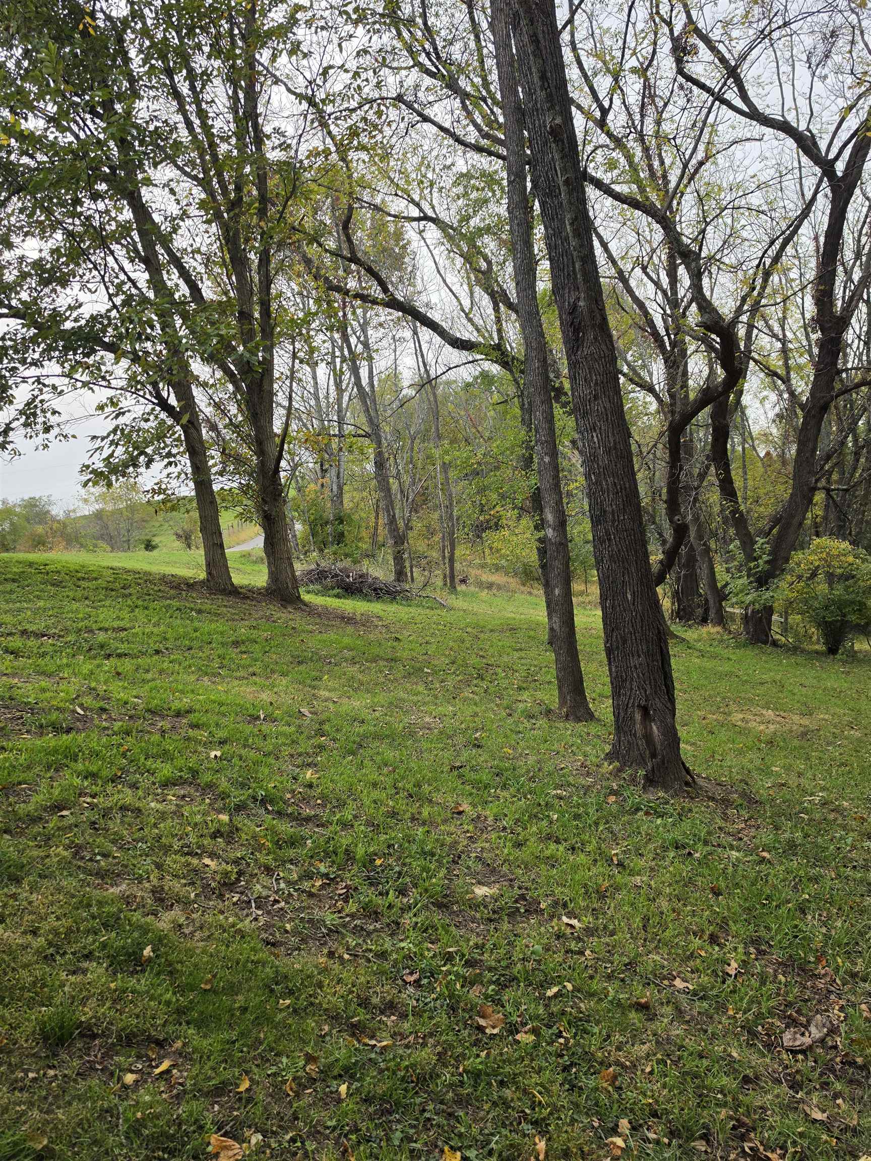 845 NW Horse Ridge Road NW Willis VA 24380