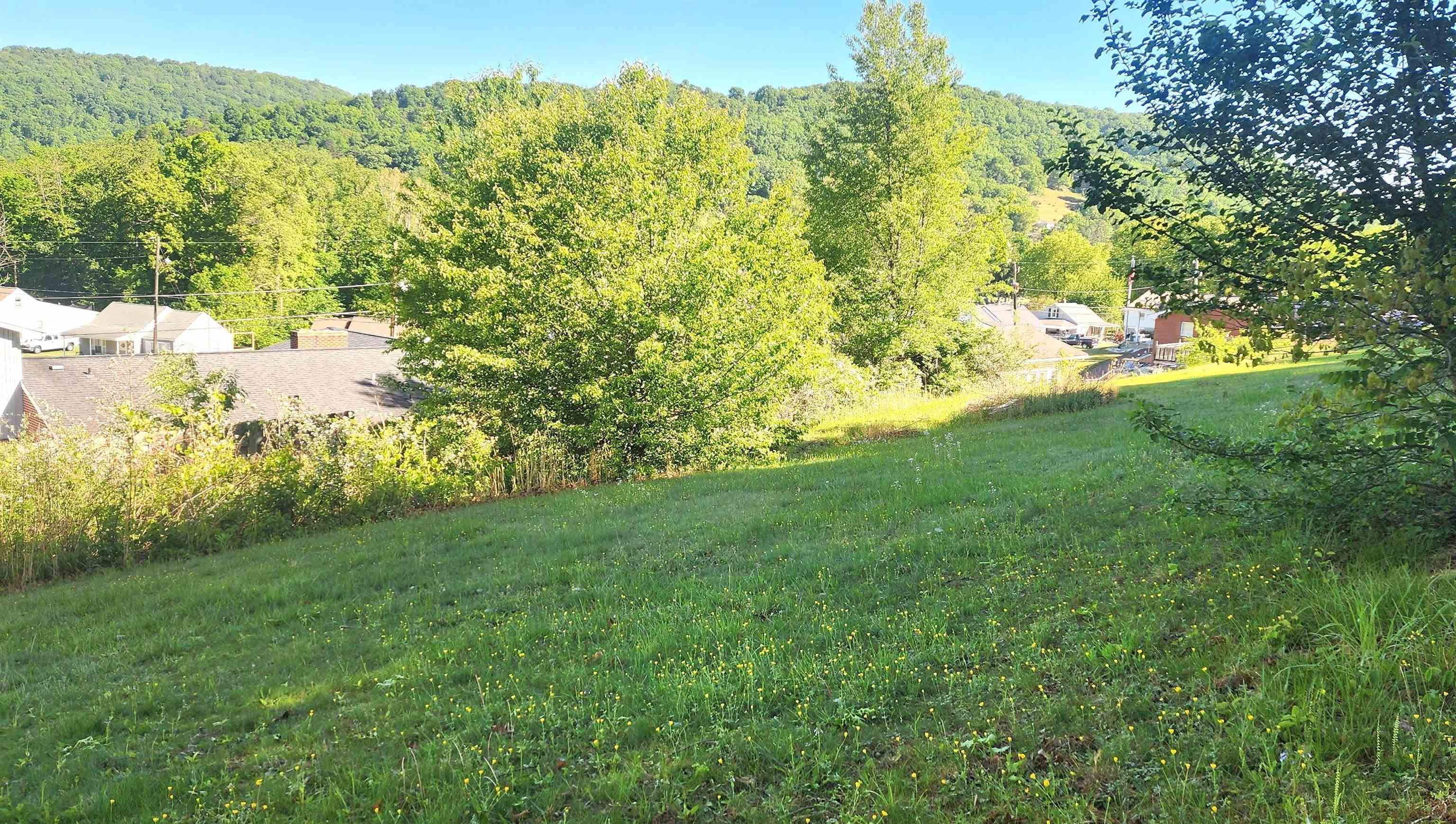 712 Mercer Road Rich Creek VA 24147