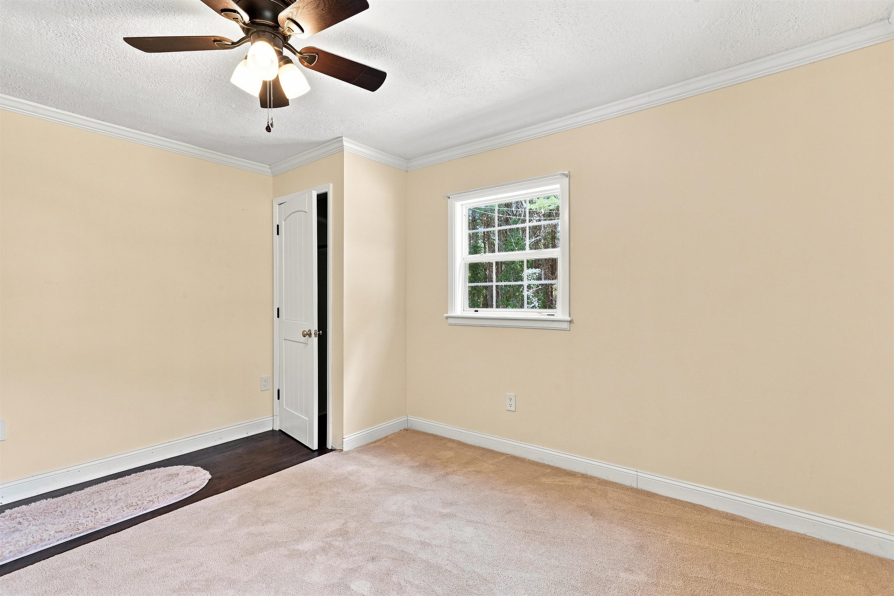 236 Buffalo Mountain Road SW Willis VA 24380