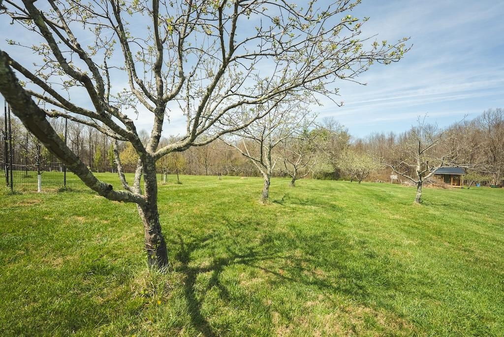 4589 Franklin Pike Floyd VA 24091