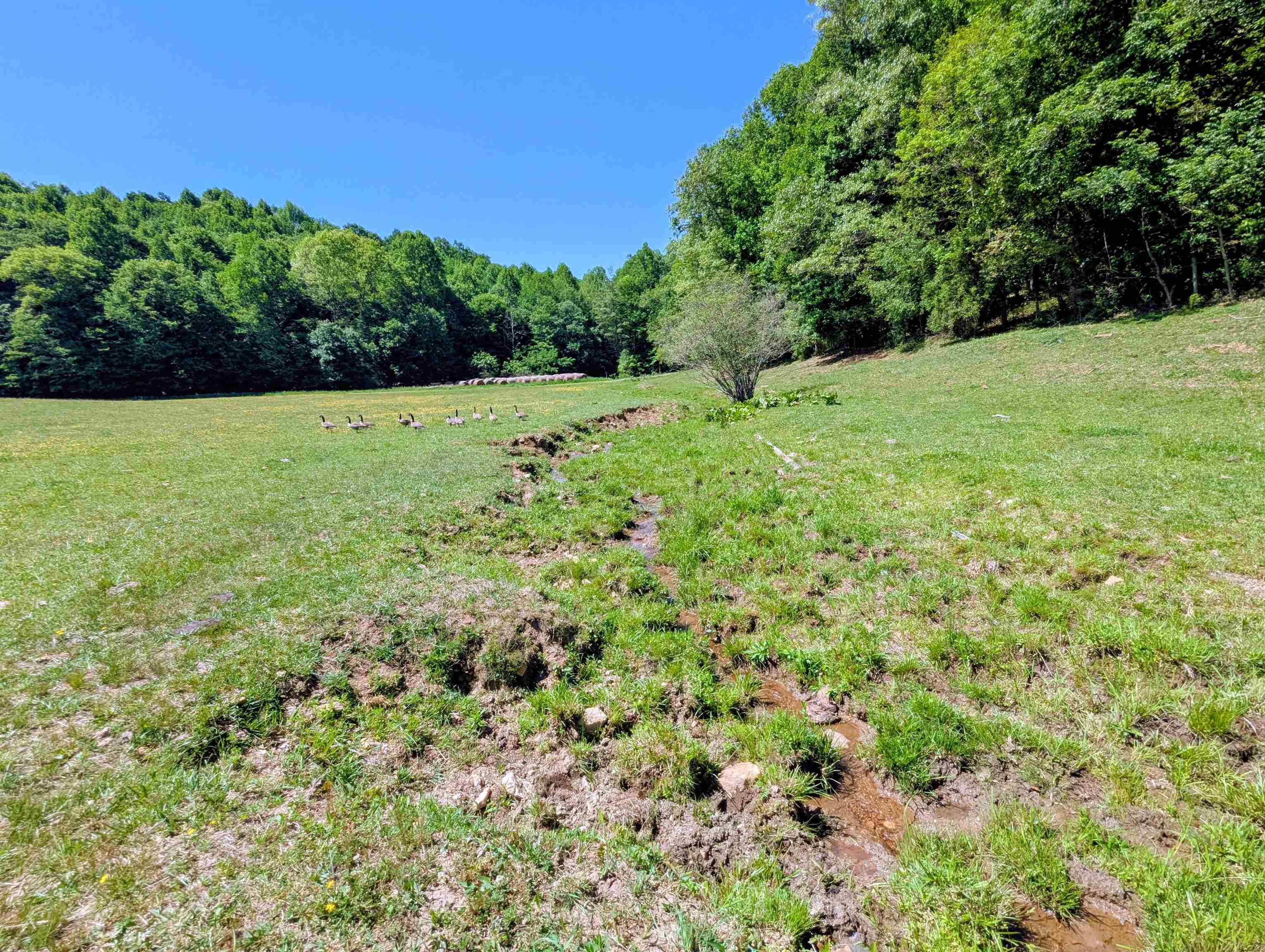 261 Newmantown Road Dugspur VA 24325