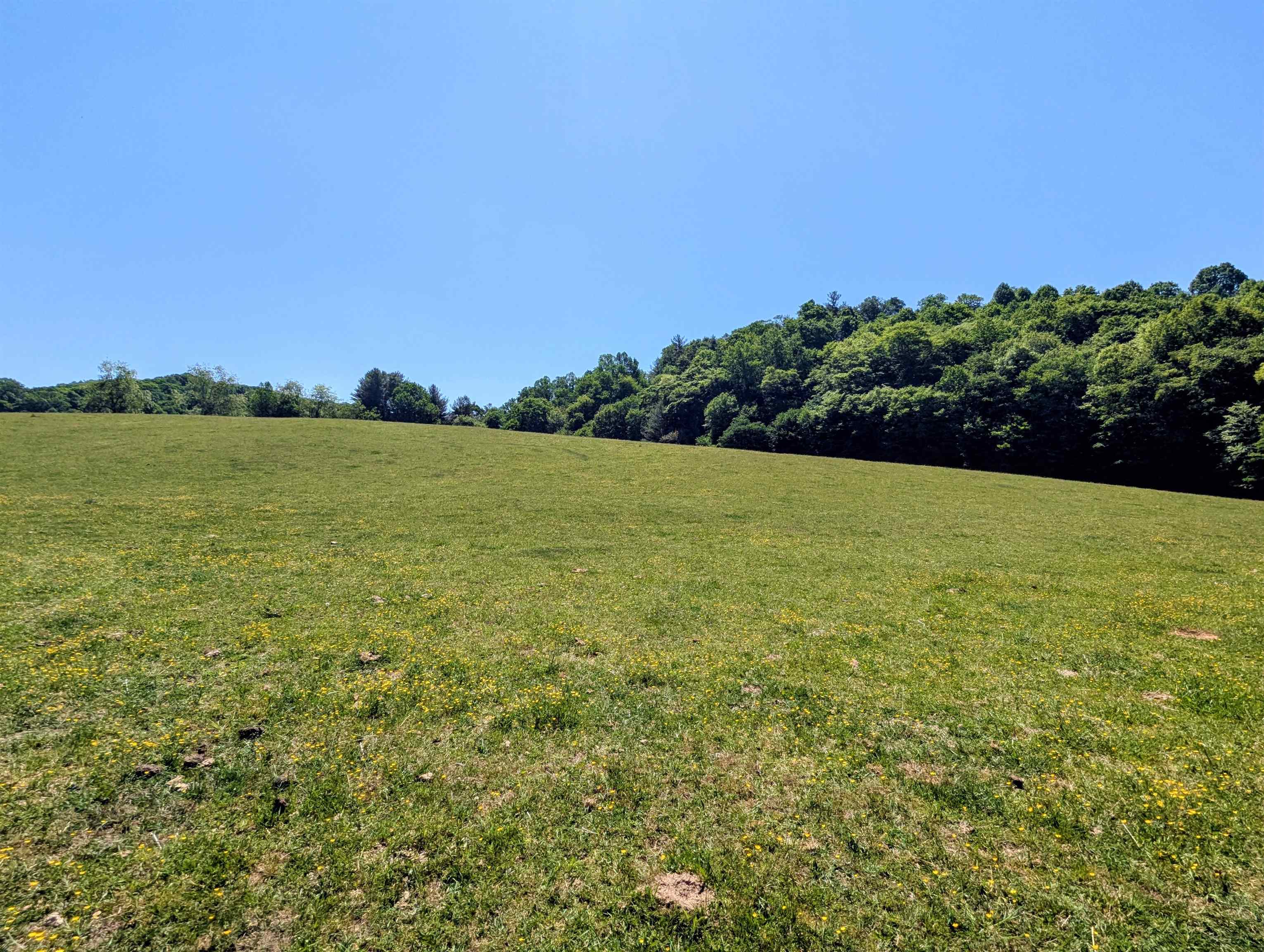261 Newmantown Road Dugspur VA 24325