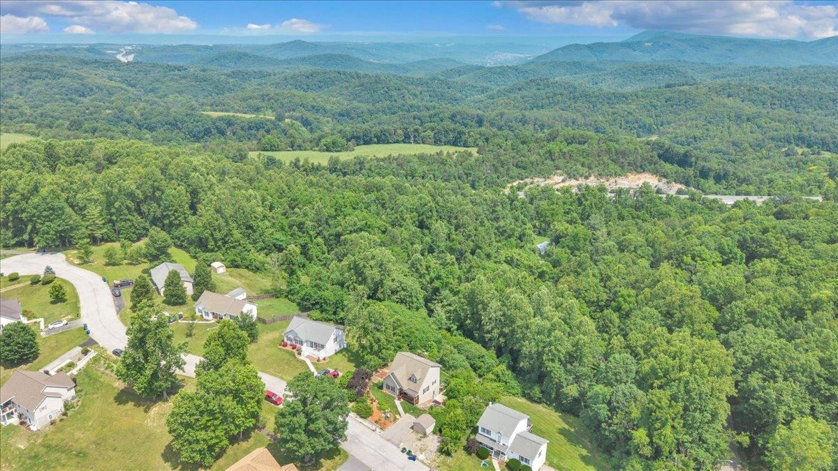 20 Wood Ridge Drive Christiansburg VA 24073