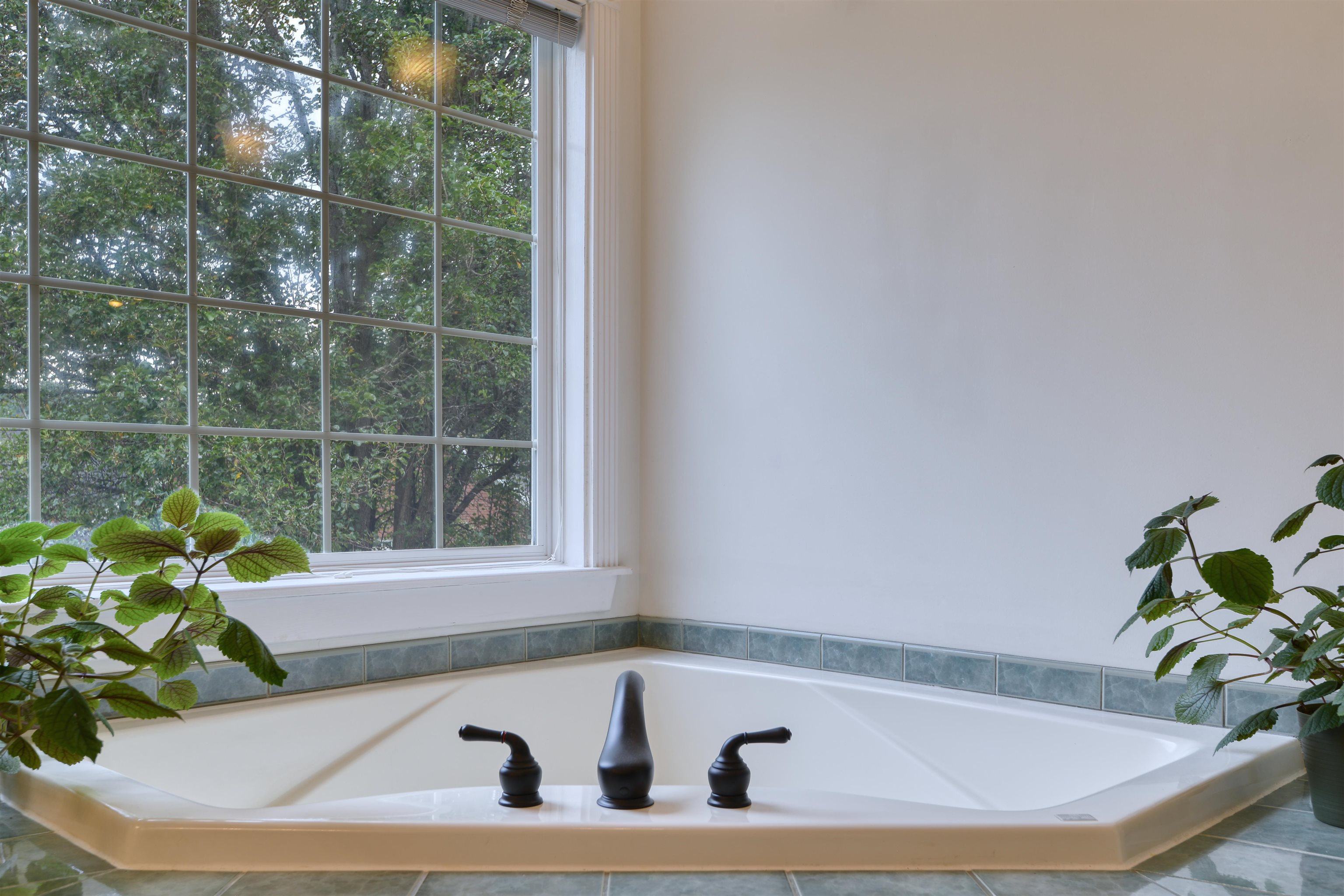 8281 Sawgrass Way Radford VA 24141