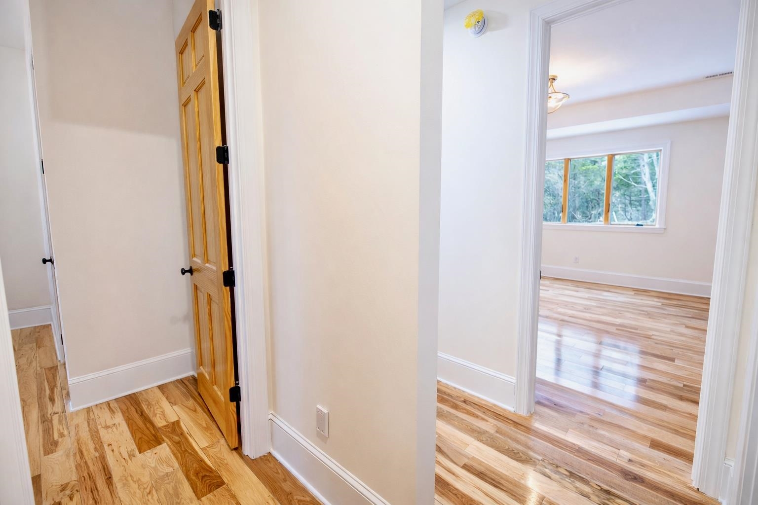 3000 Glade Road Blacksburg VA 24060