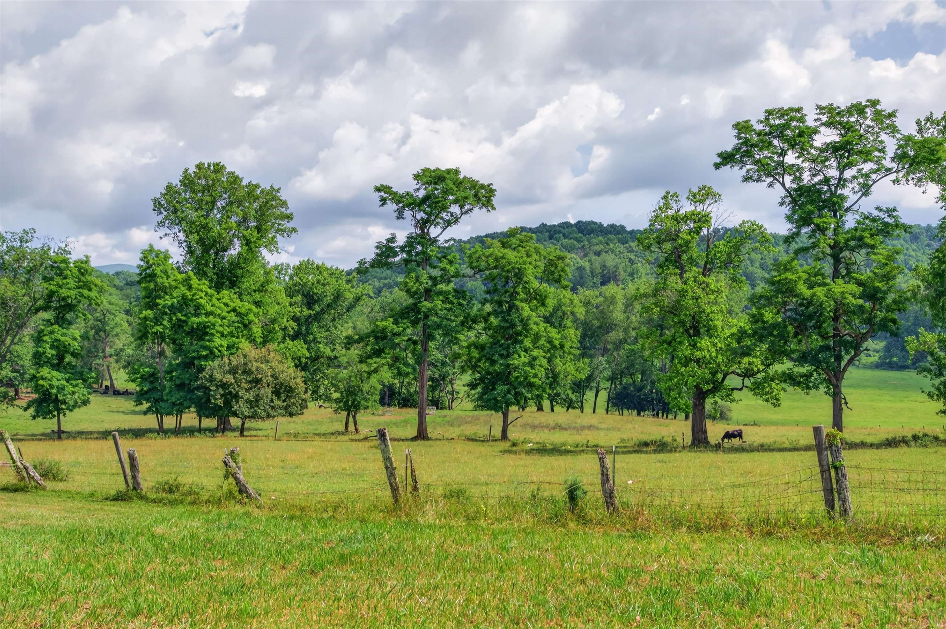 3172 Floyd Highway S Floyd VA 24091