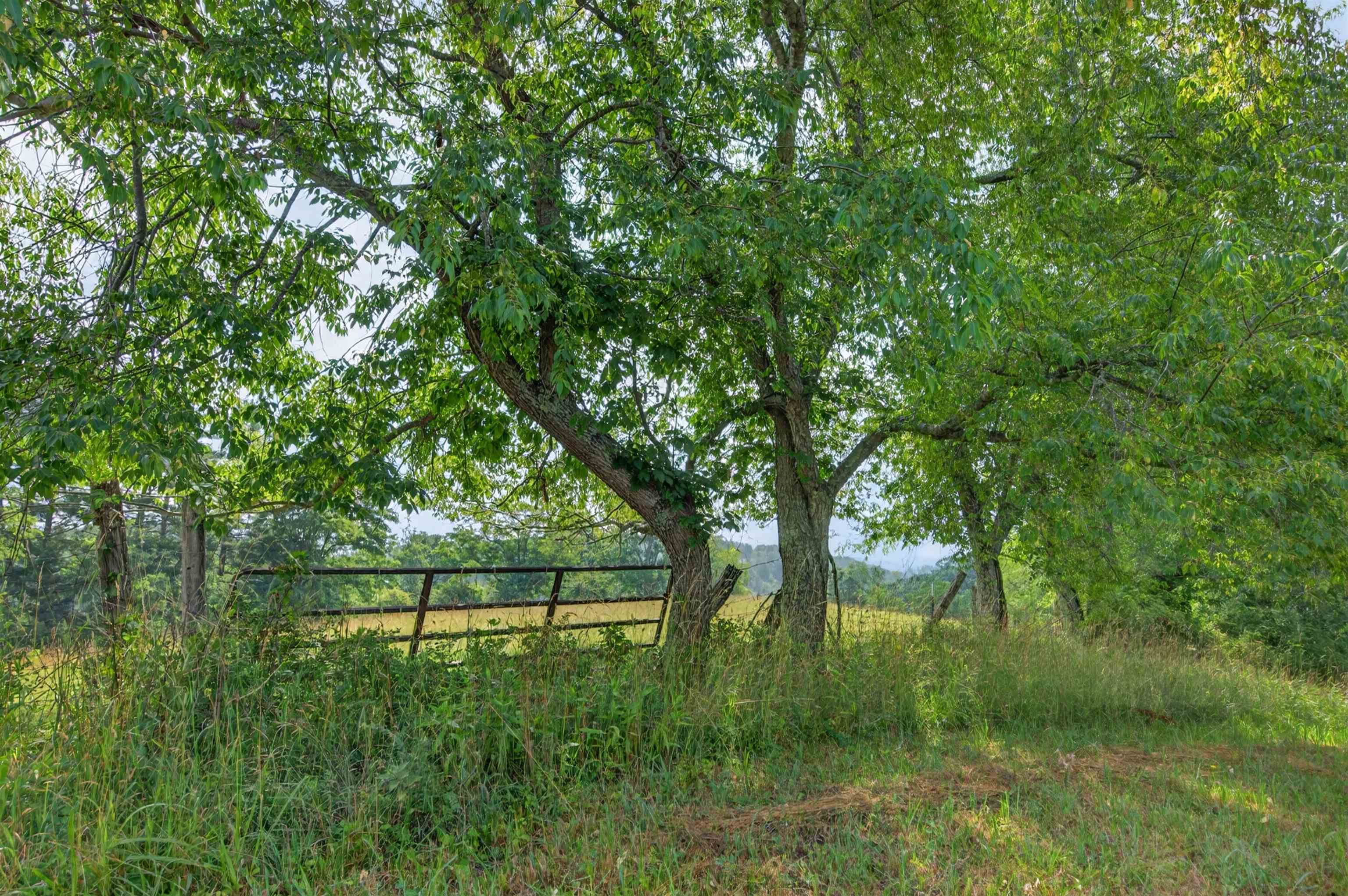 3172 Floyd Highway S Floyd VA 24091
