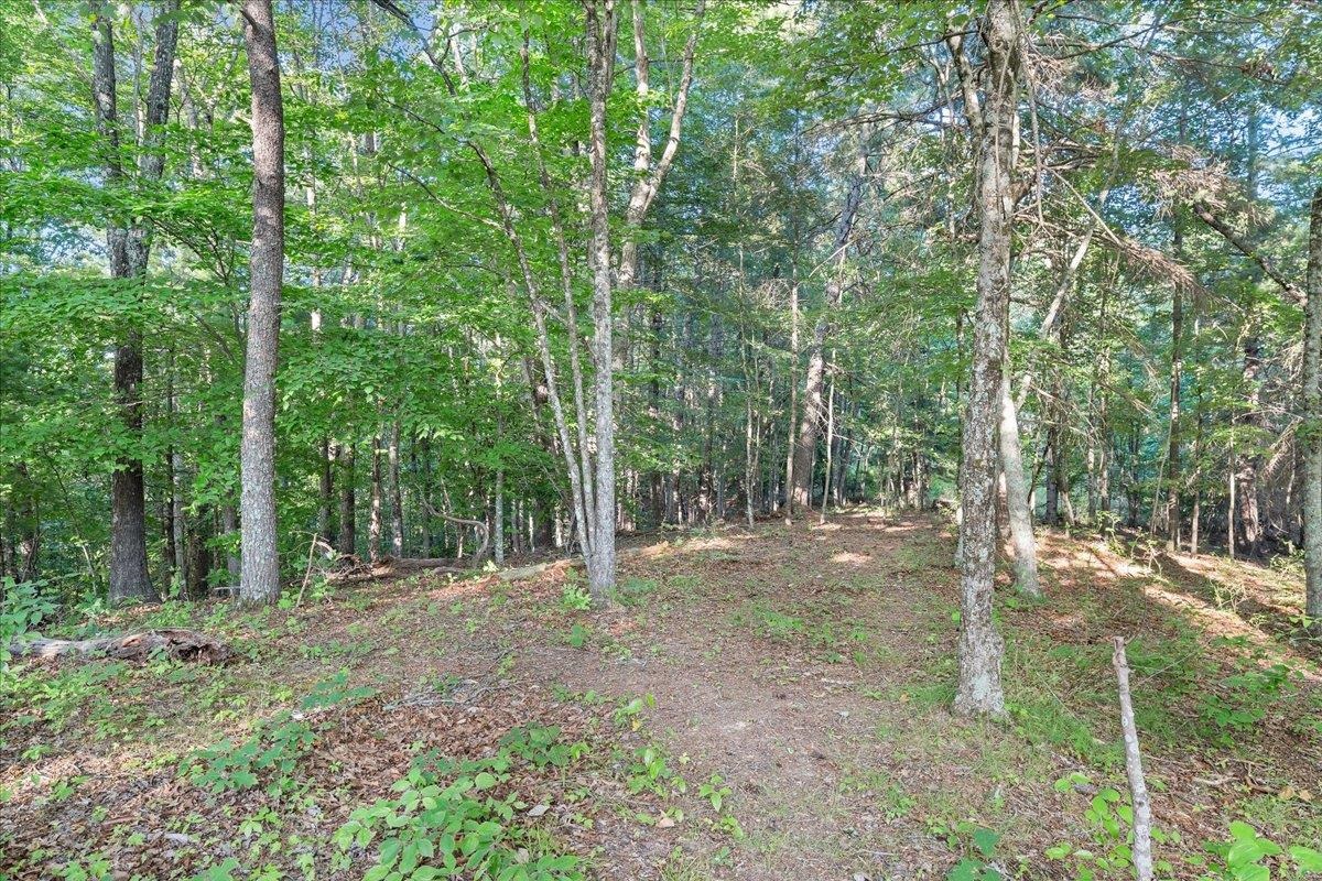 5384 Harvest Road Riner VA 24149