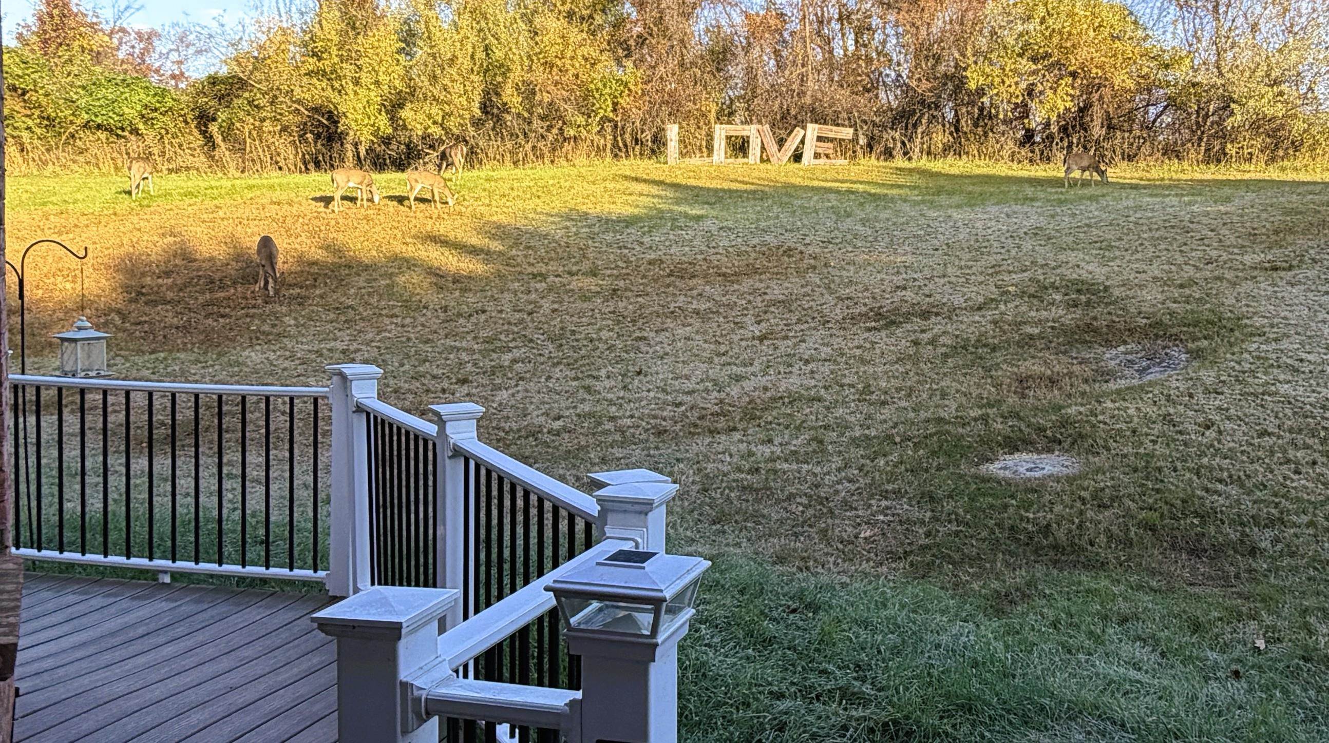 308 Meadow Ridge Radford VA 24141