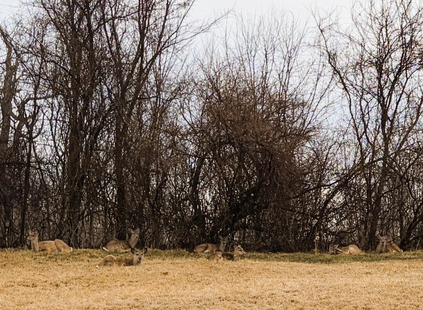 308 Meadow Ridge Radford VA 24141