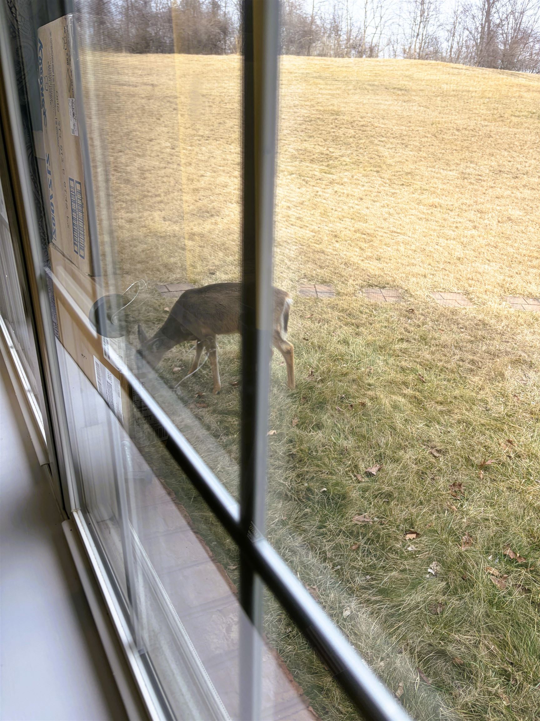 308 Meadow Ridge Radford VA 24141