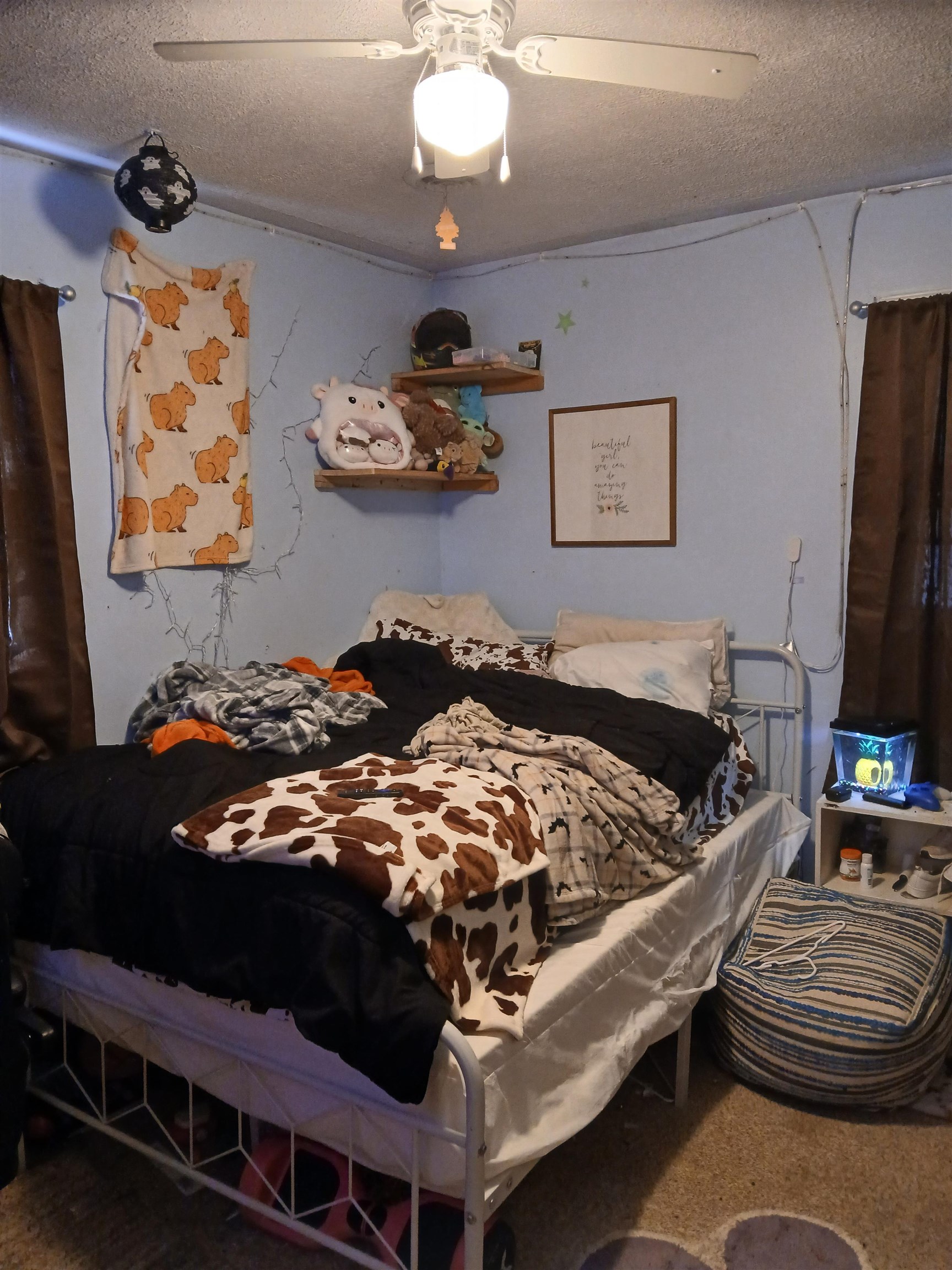 5637 Locust Drive Dublin VA 24084