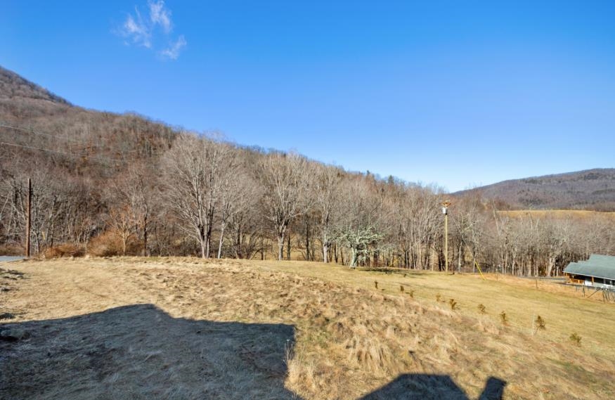 3110 Jamison Mountain Road Covington VA 24426