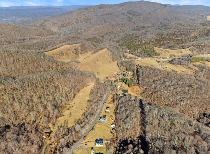 3110 Jamison Mountain Road Covington VA 24426