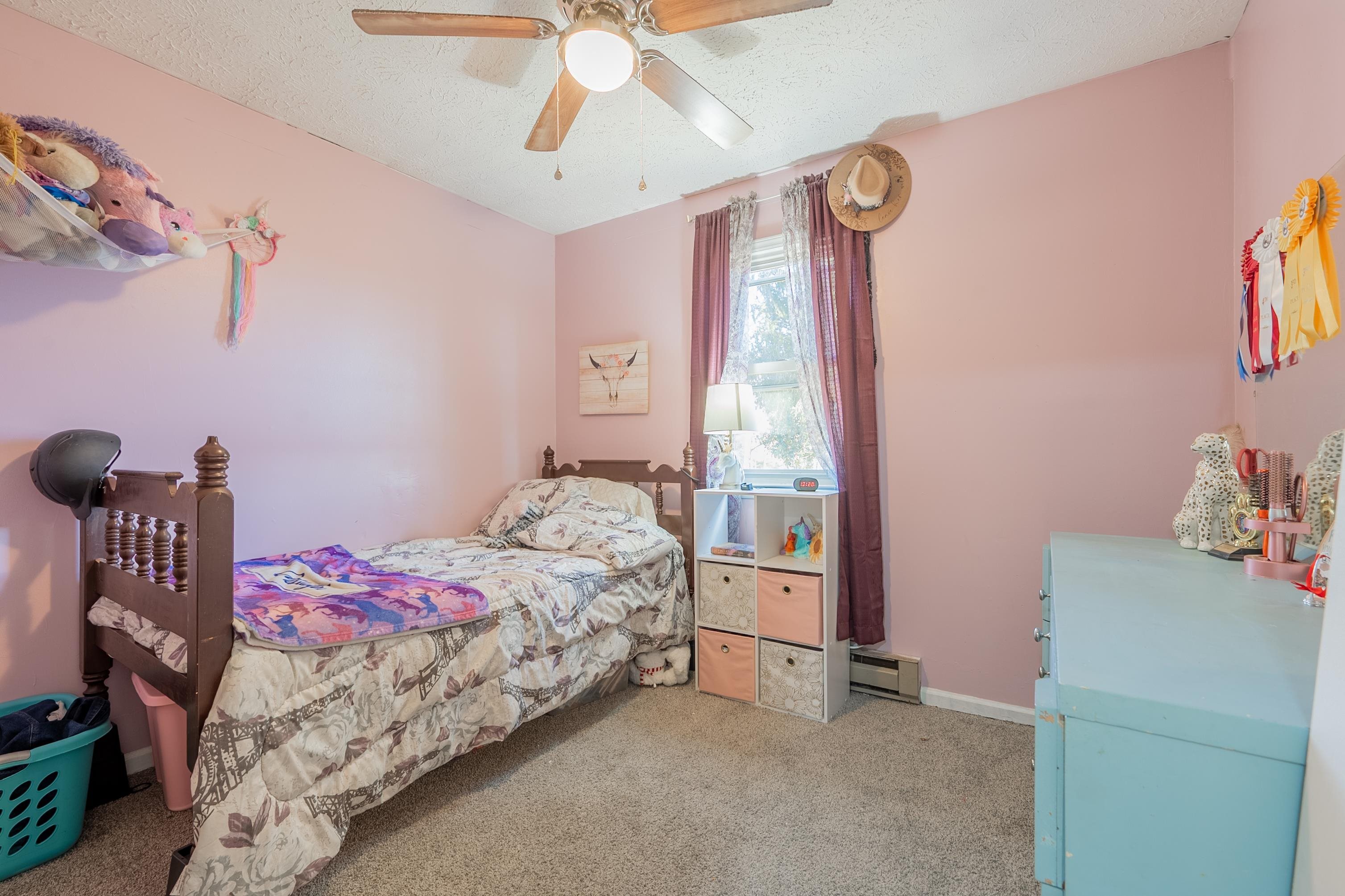 1865 Oak Grove Road Woodlawn VA 24381