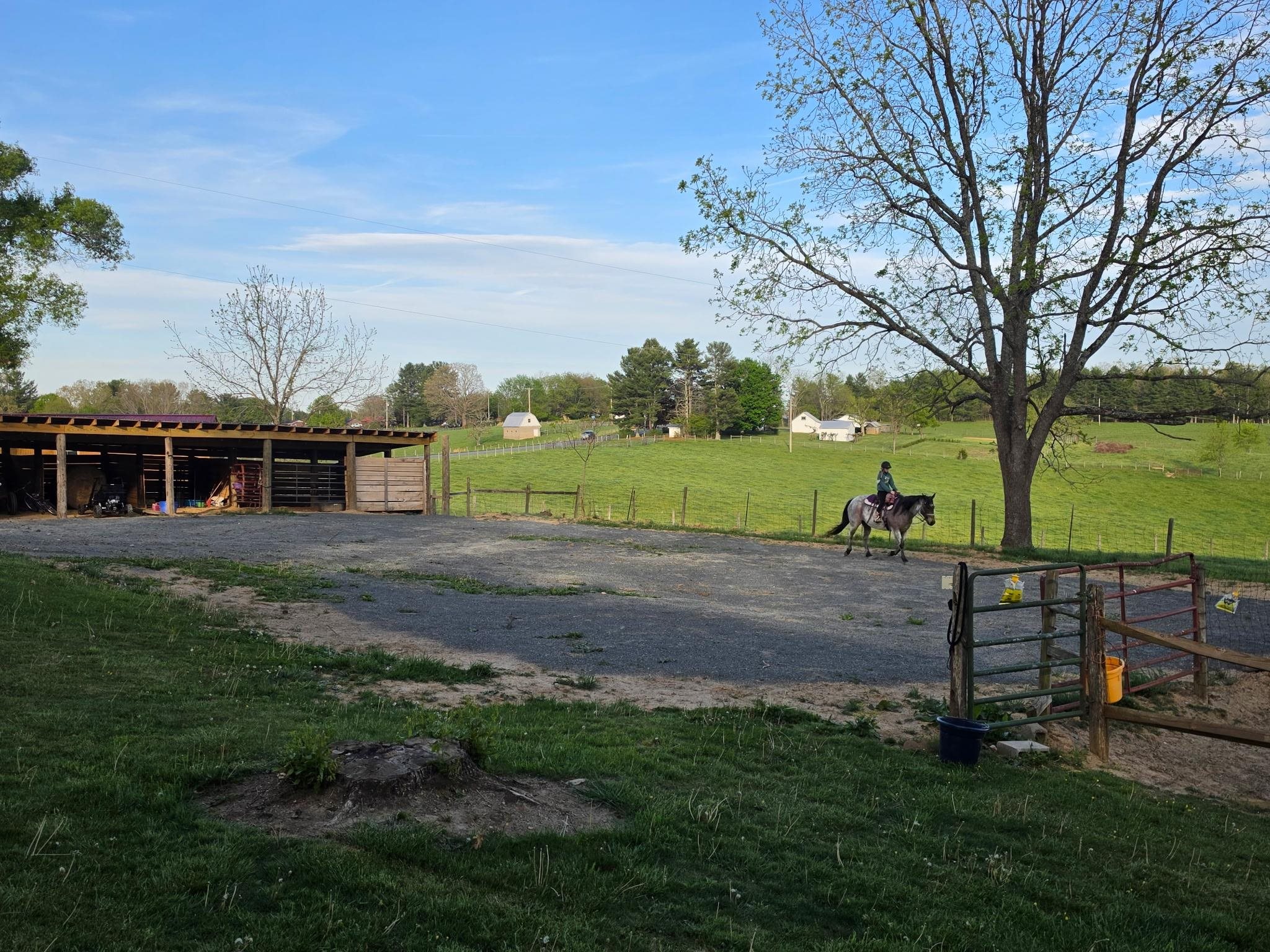 1865 Oak Grove Road Woodlawn VA 24381