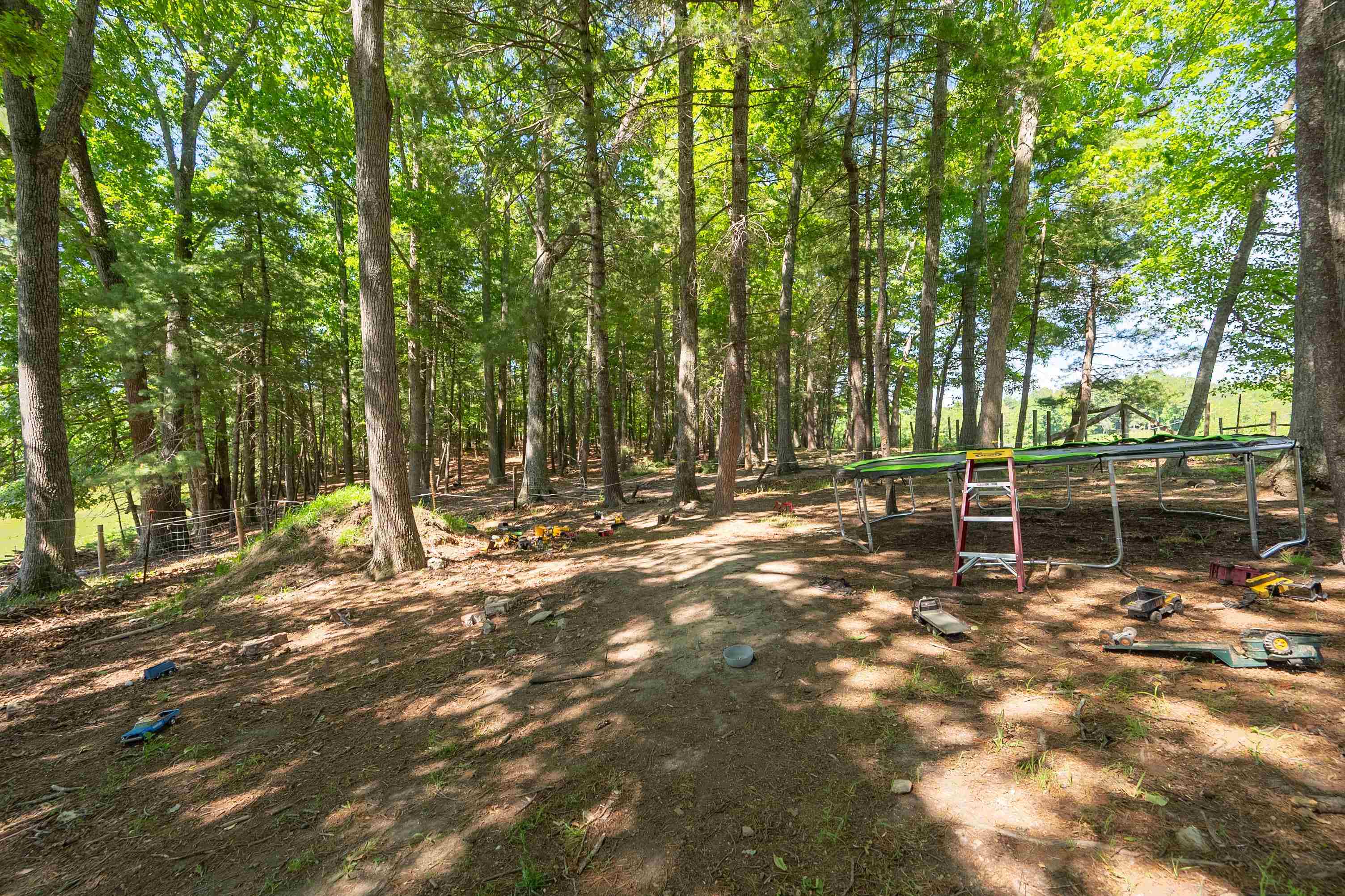 1865 Oak Grove Road Woodlawn VA 24381
