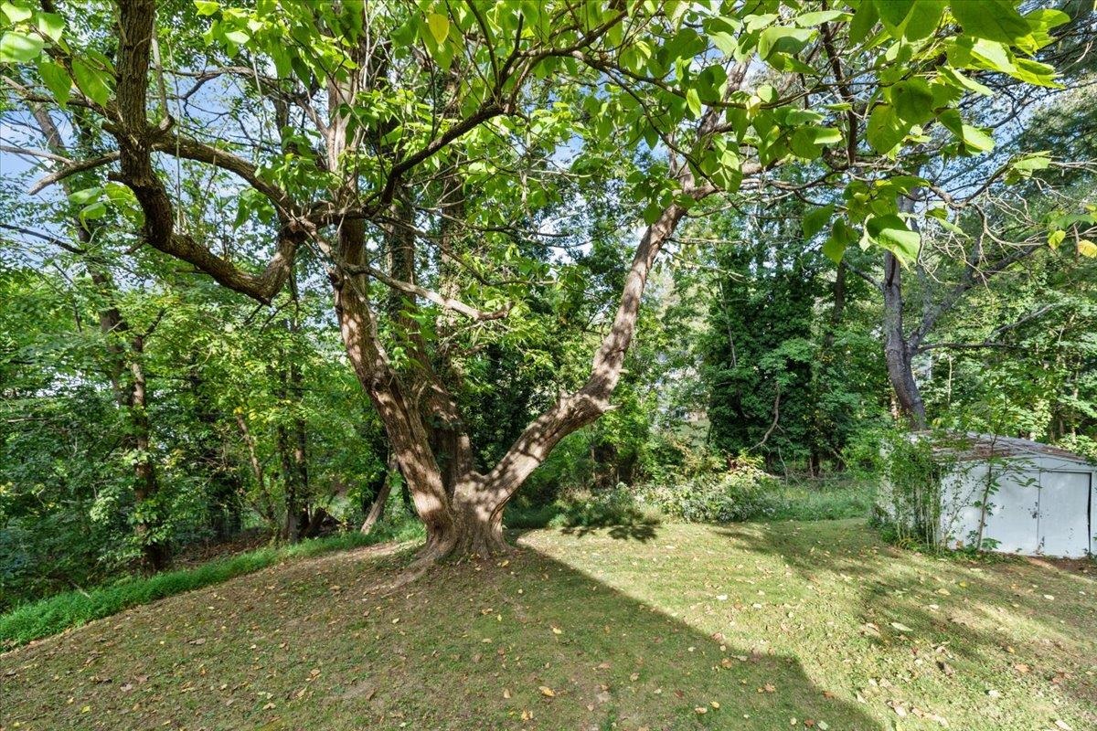 305 8th Avenue Radford VA 24141