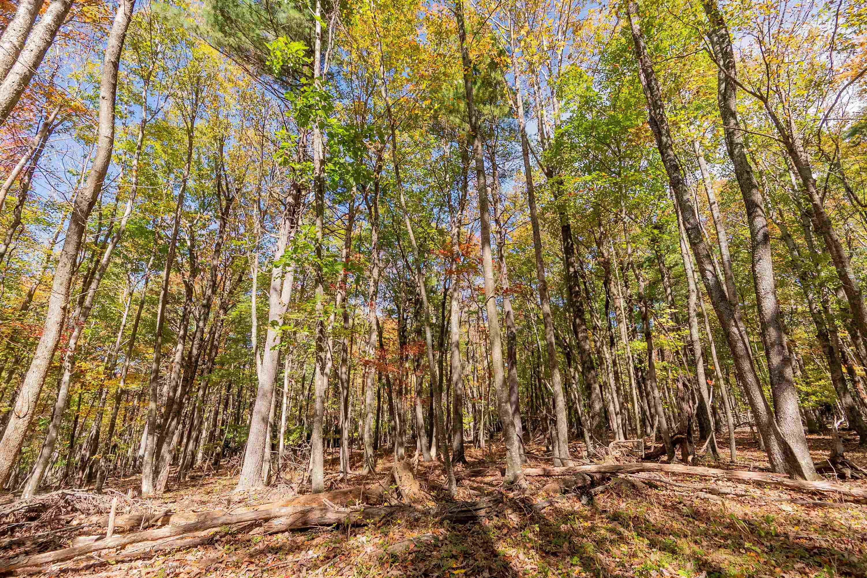 5531 Franklin Pike SE Floyd VA 24091