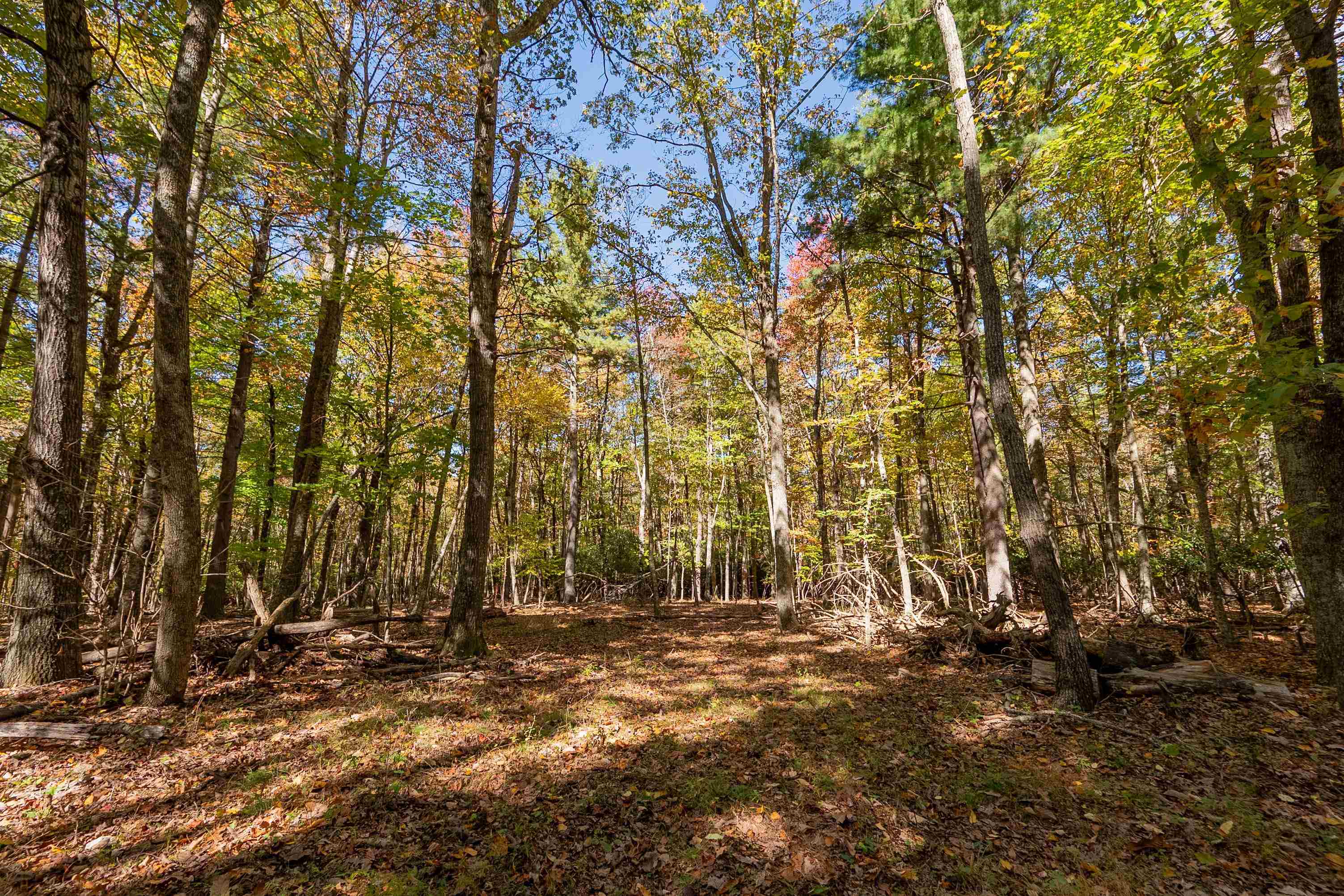 5531 Franklin Pike SE Floyd VA 24091