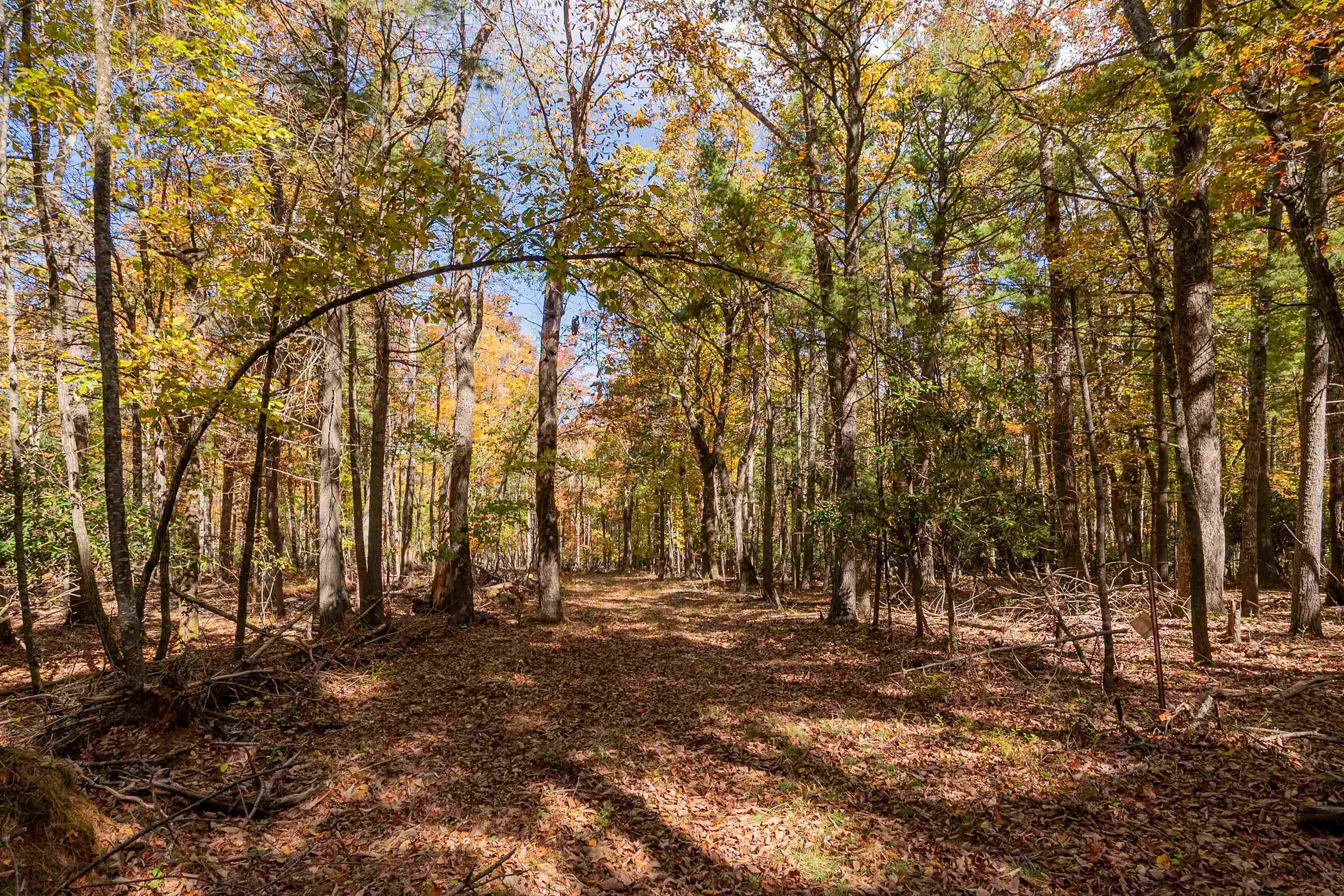 5531 Franklin Pike SE Floyd VA 24091