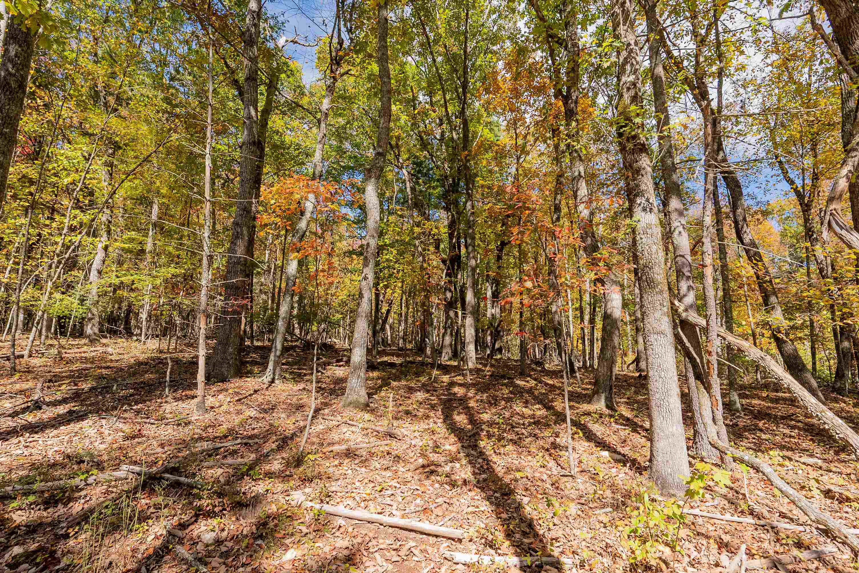 5531 Franklin Pike SE Floyd VA 24091