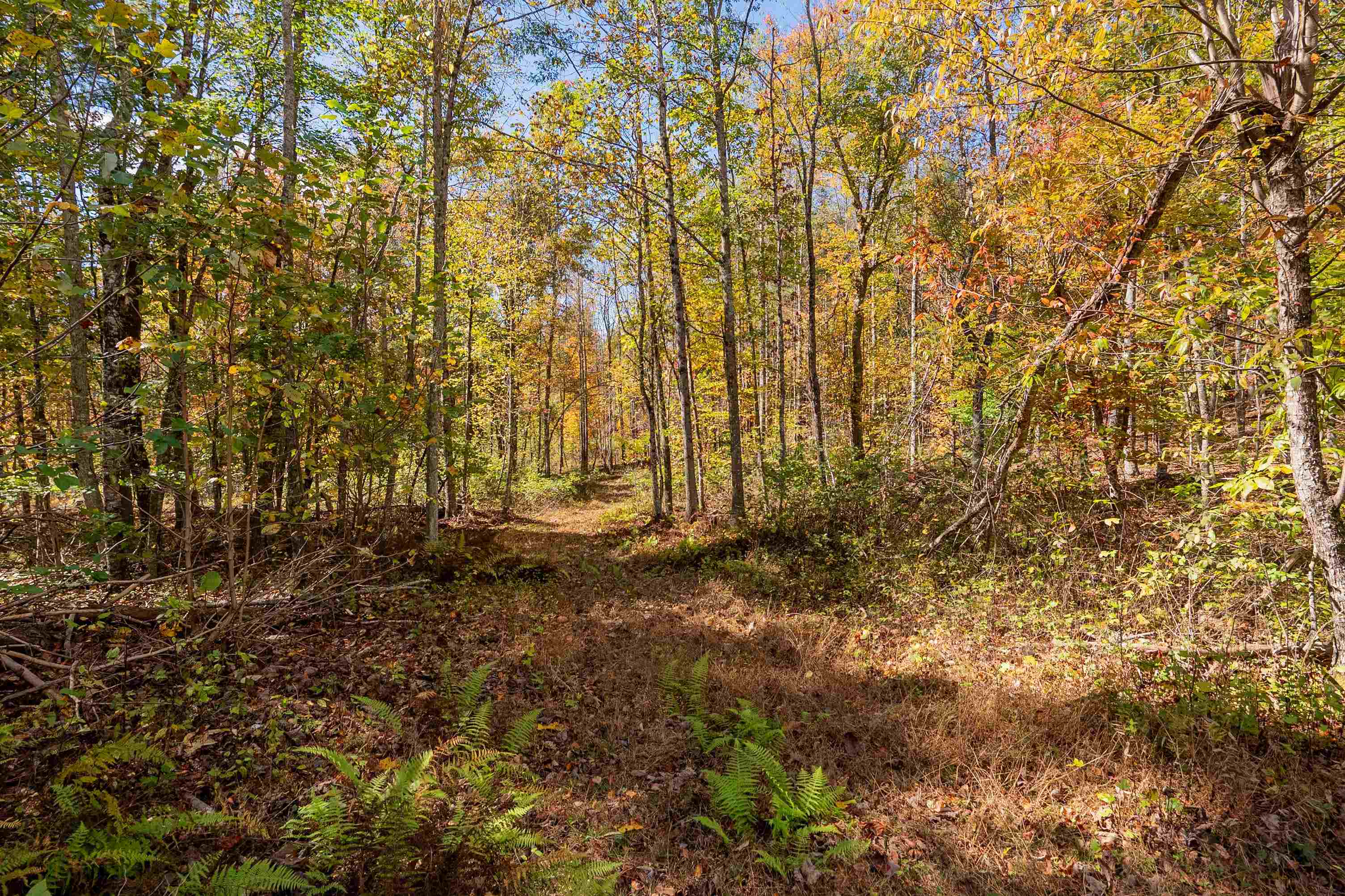 5531 Franklin Pike SE Floyd VA 24091