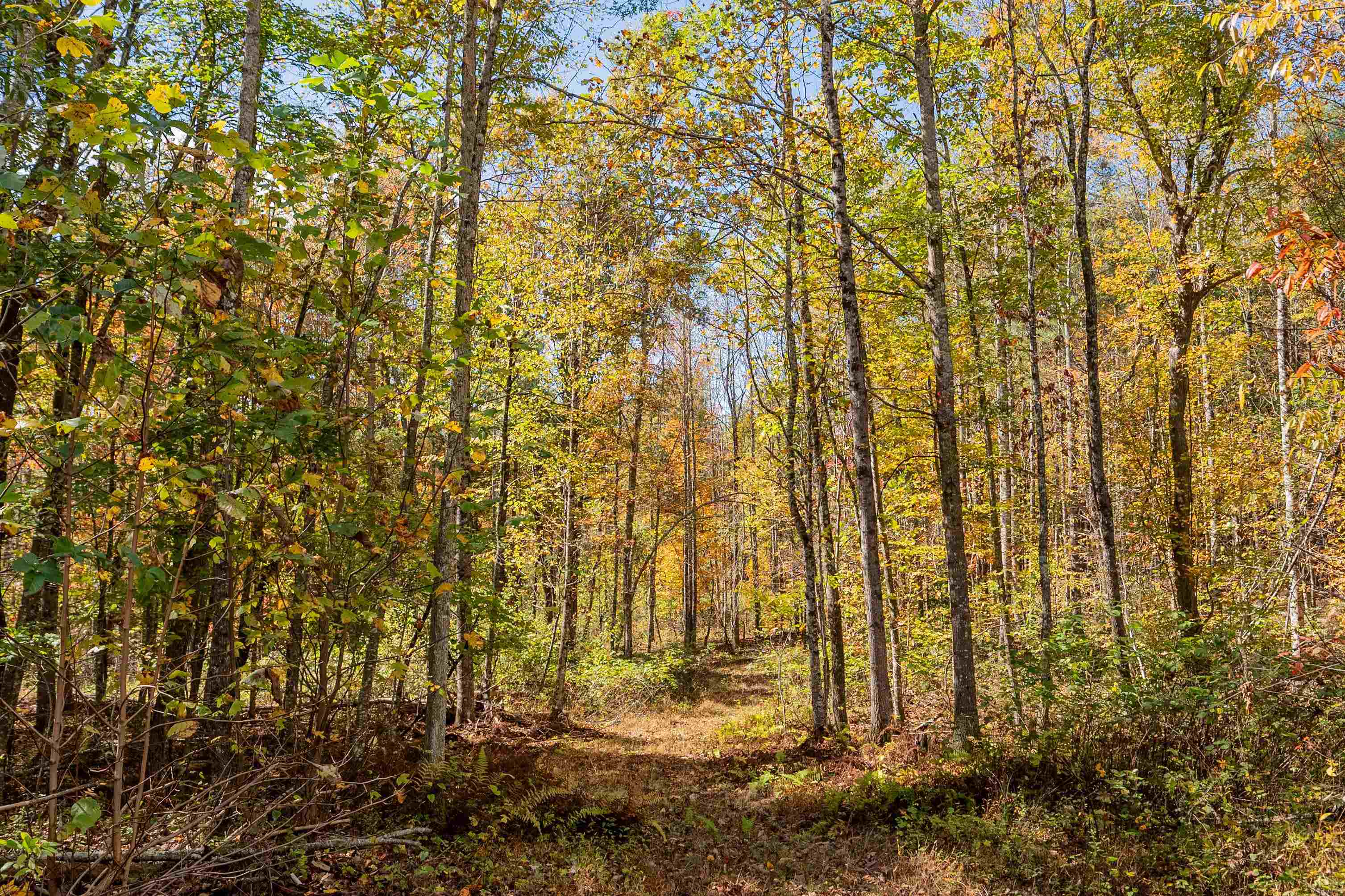 5531 Franklin Pike SE Floyd VA 24091