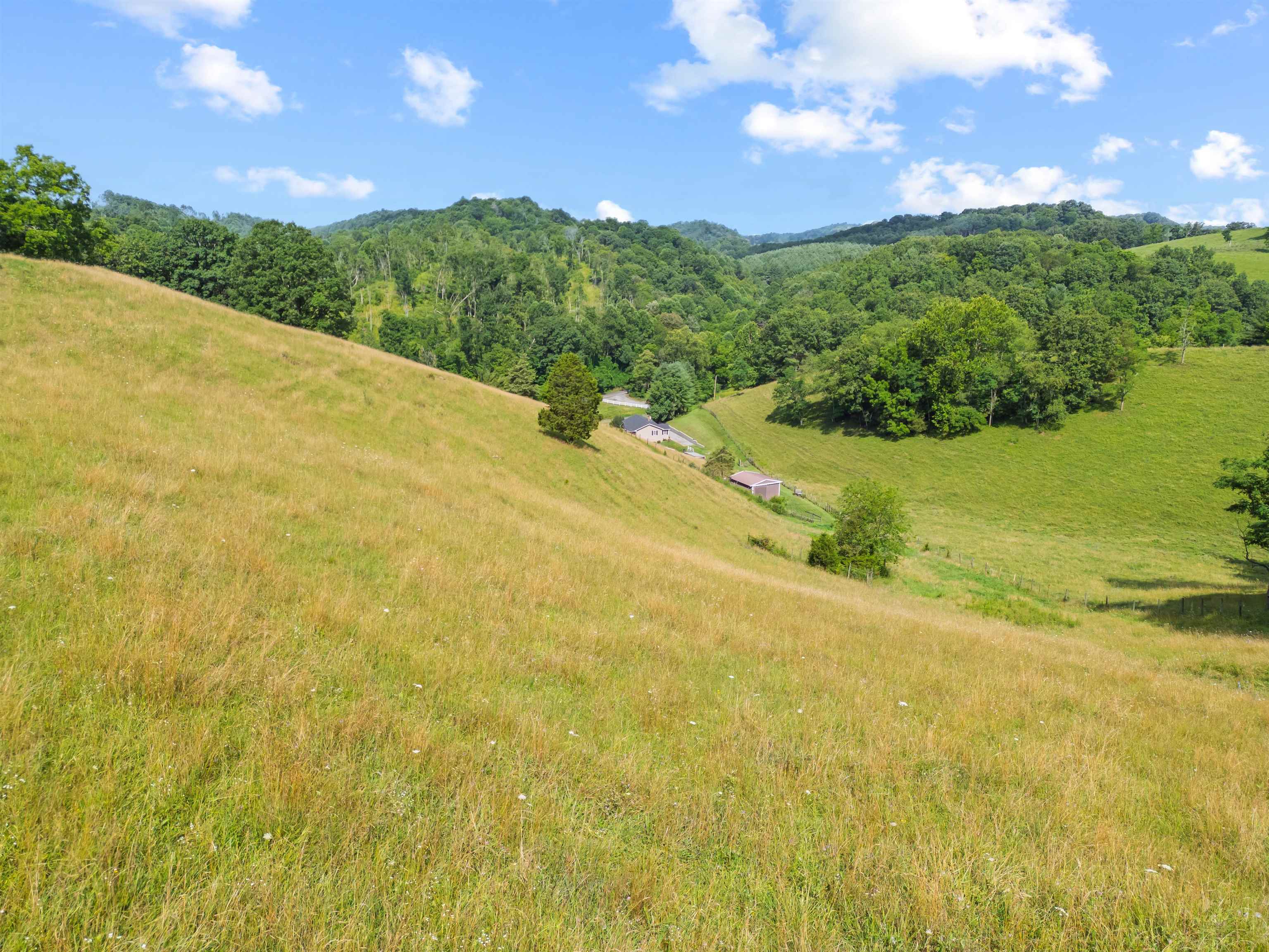 5896 Grayson Turnpike Crockett VA 24323