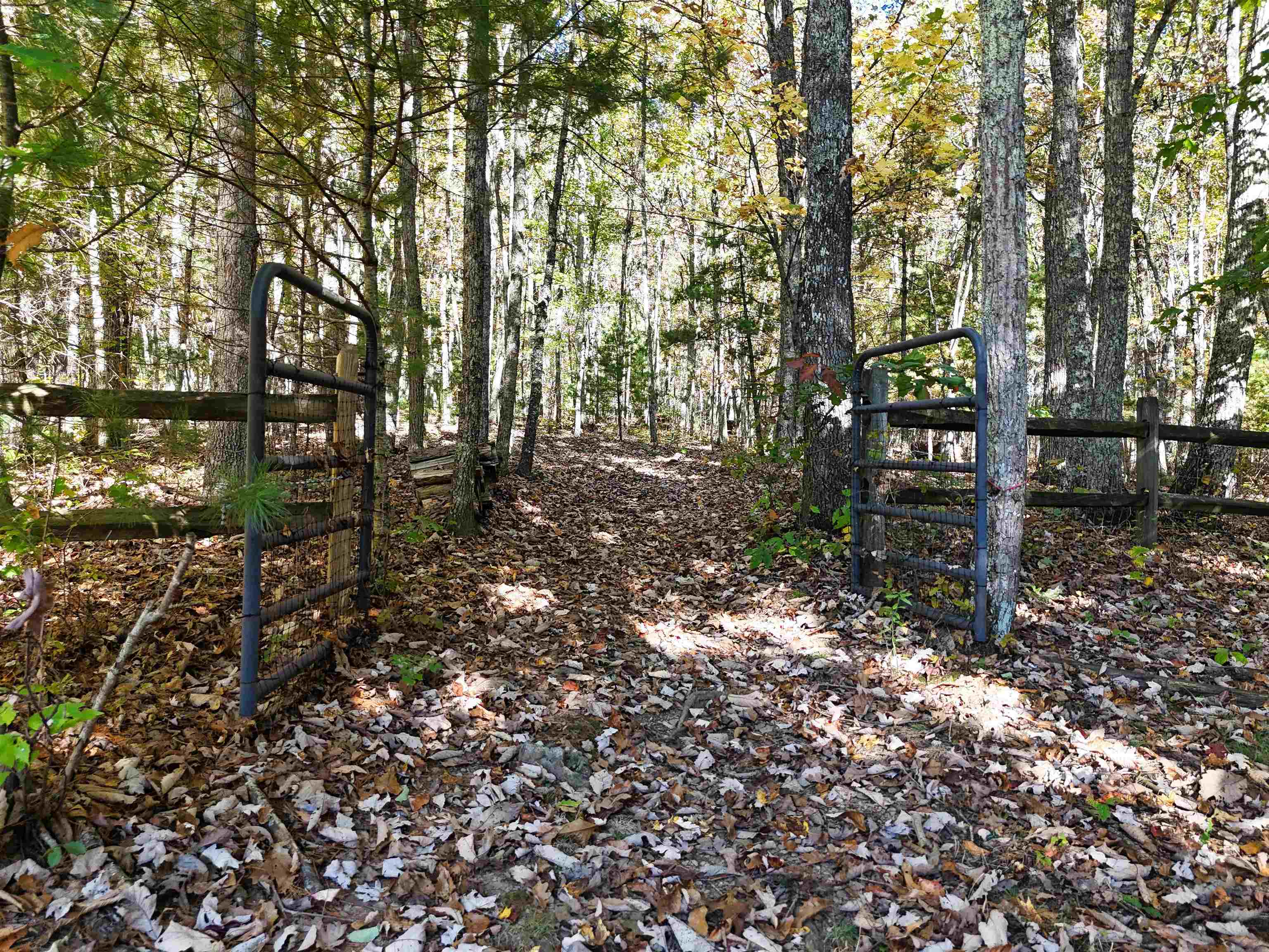 2054 Duncans Chapel Road NW Willis VA 24380