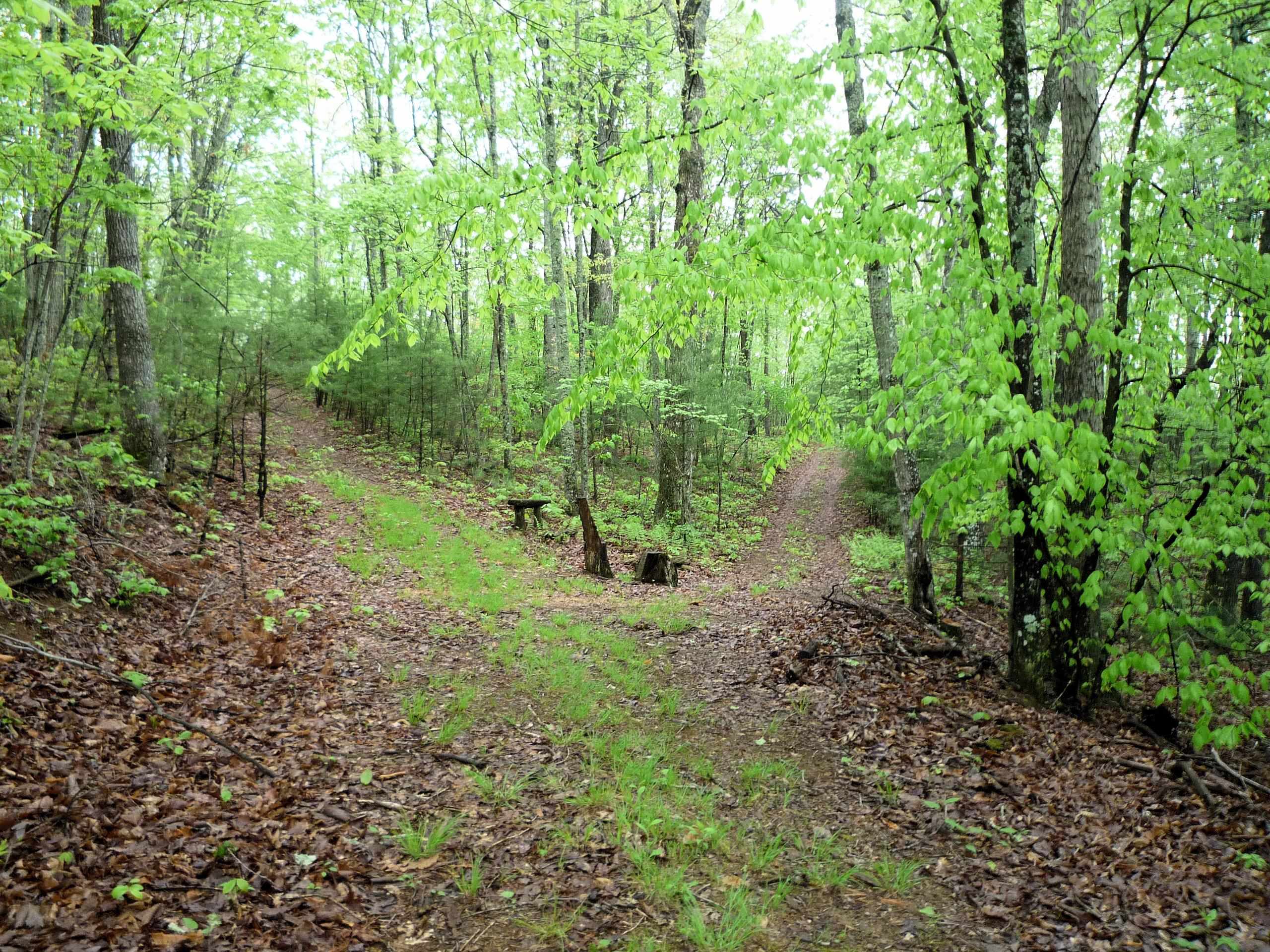 2054 Duncans Chapel Road NW Willis VA 24380