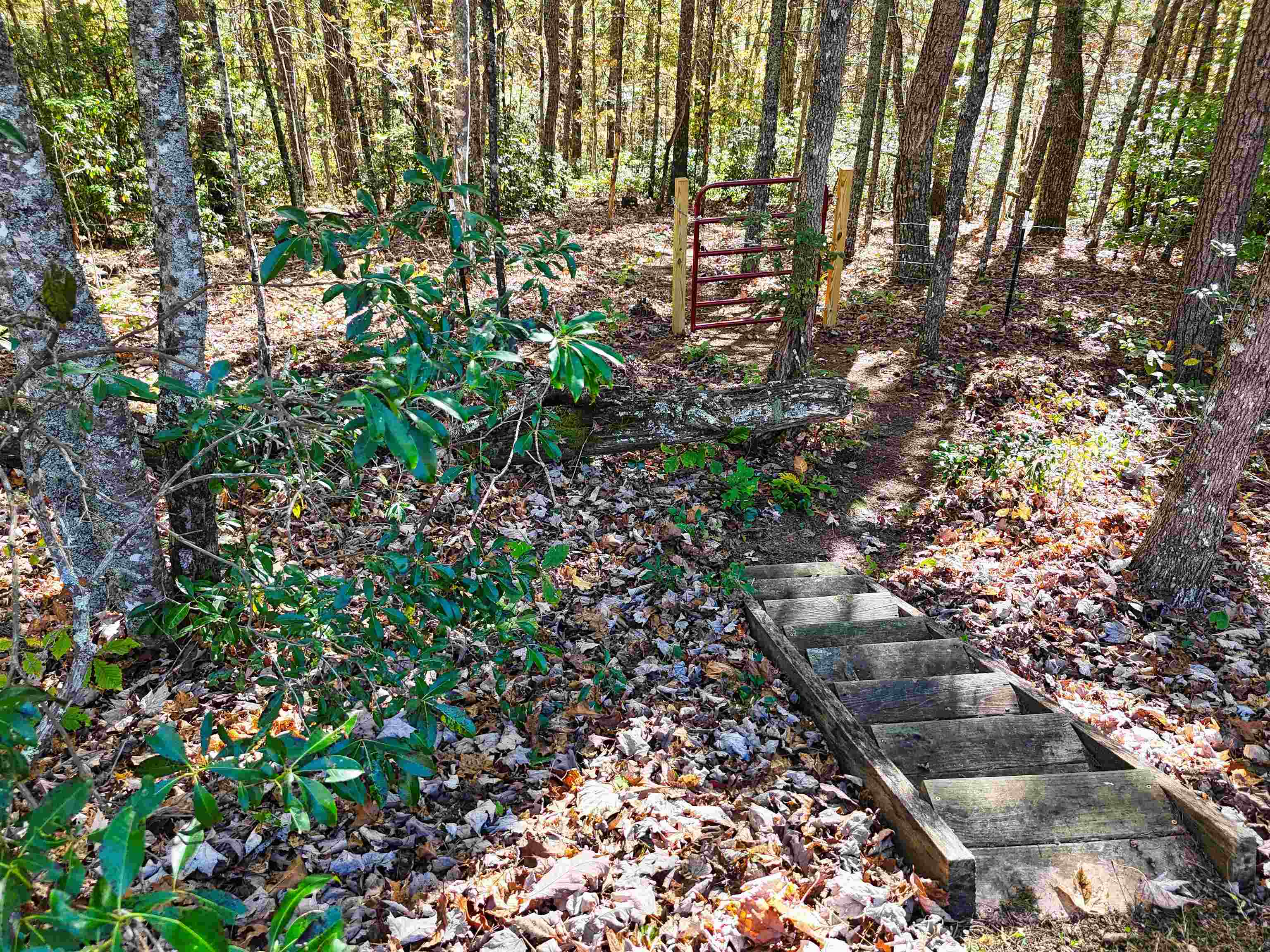 2054 Duncans Chapel Road NW Willis VA 24380