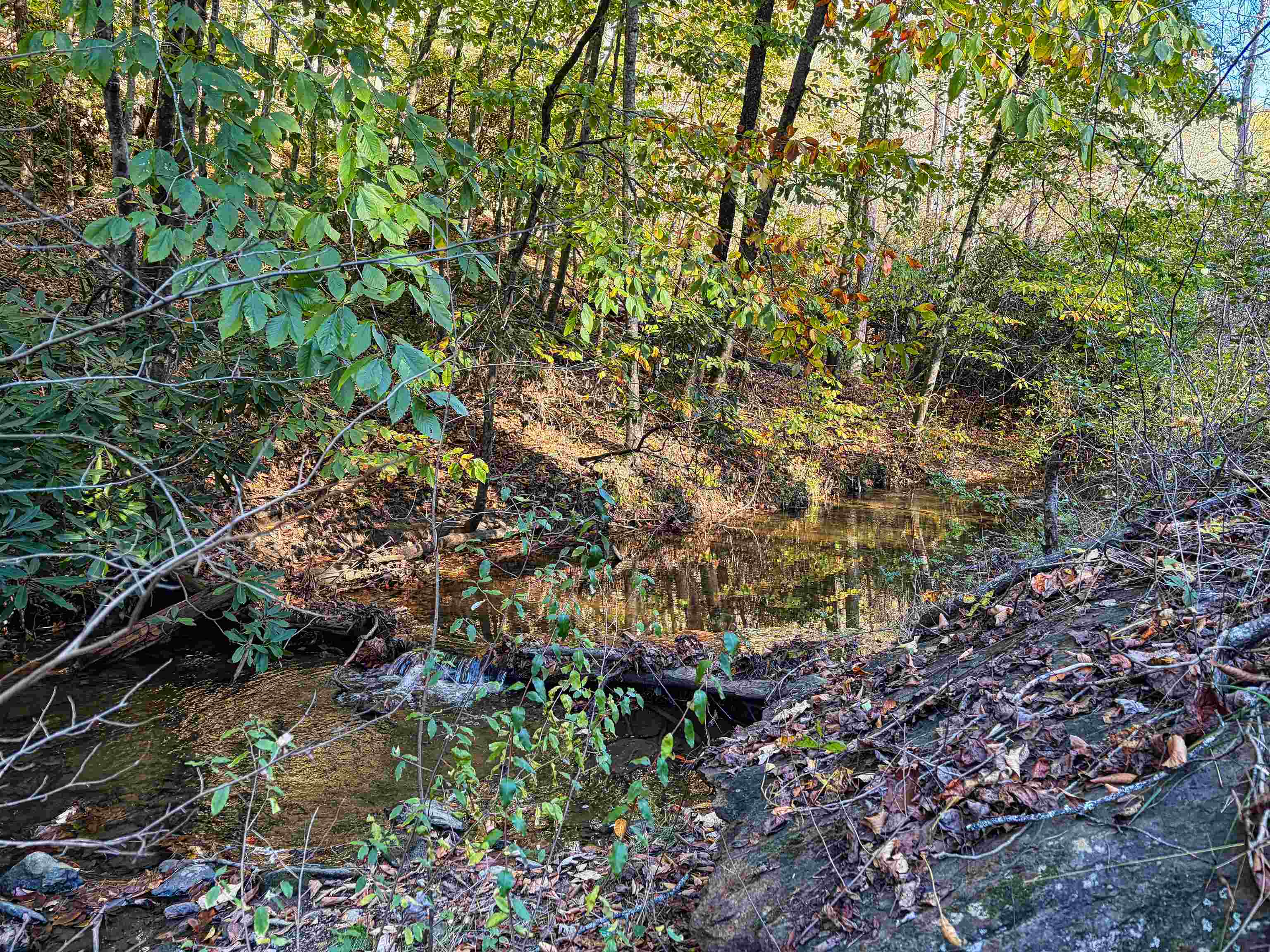 2054 Duncans Chapel Road NW Willis VA 24380